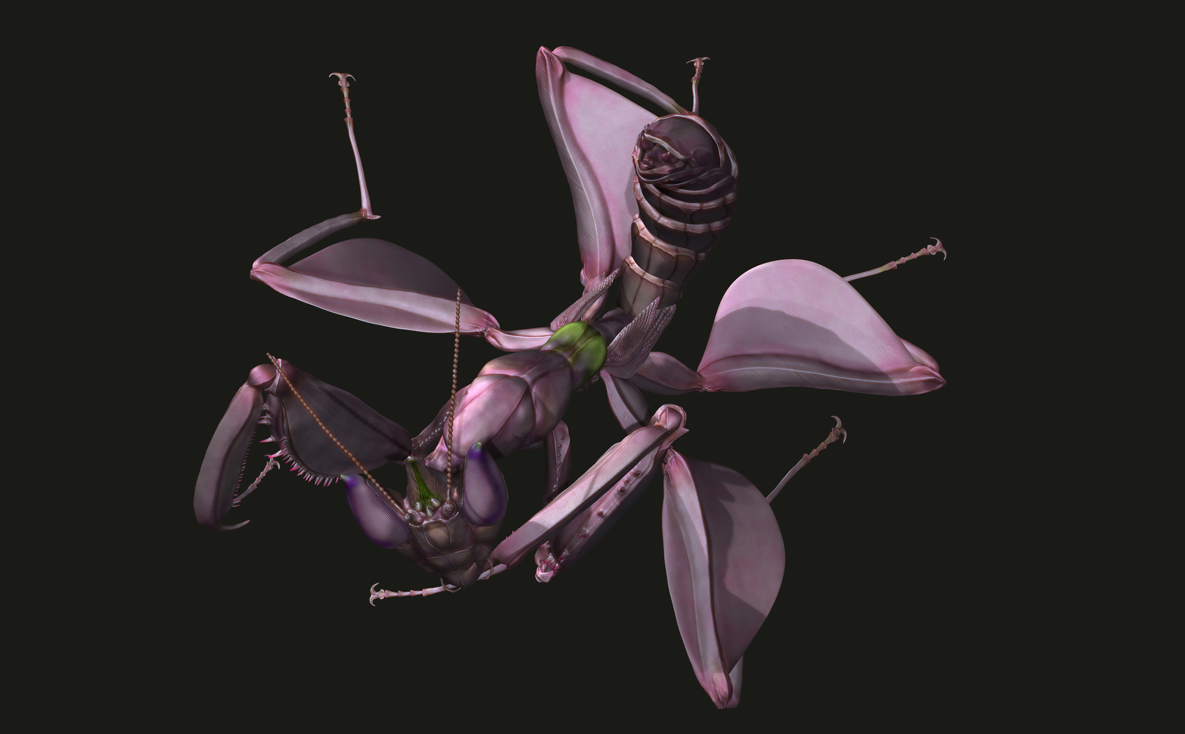 Zbrush polypaint