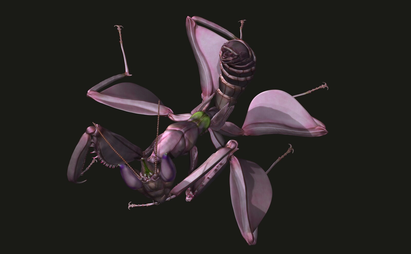 Zbrush polypaint