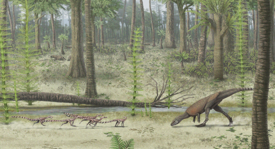 A group of Ixalerpeton and a Saturnalia