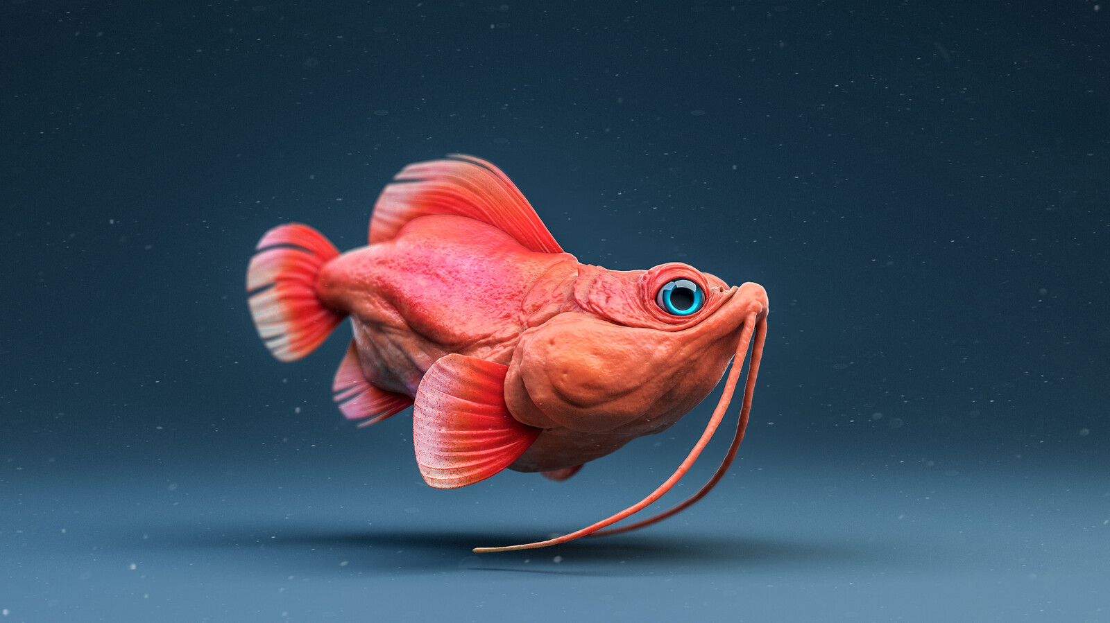 SeaCritters : Rowana