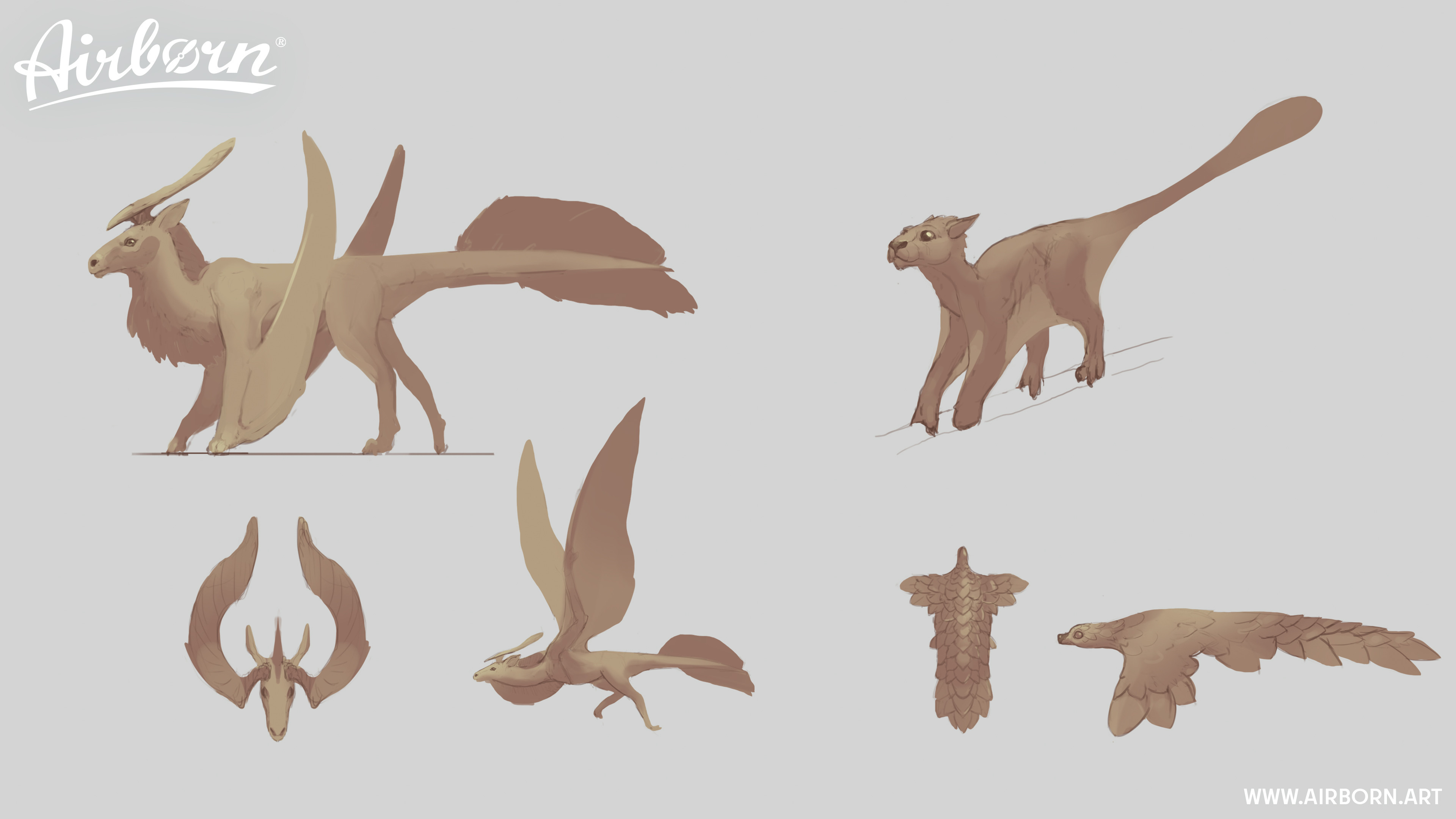 Animal Concept Exploration by Jonas Kunert