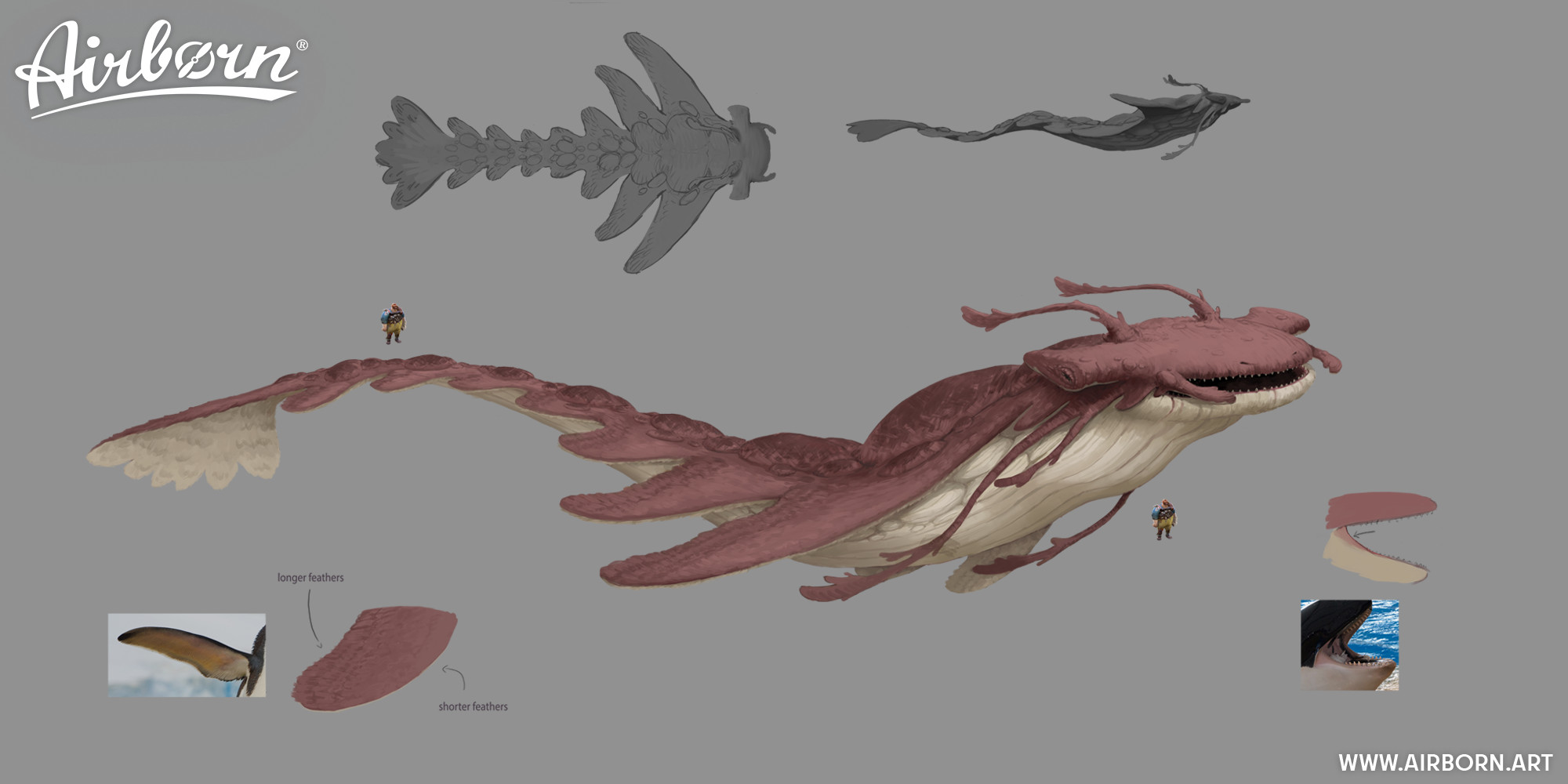 Giant Airwhale Concept Explorations by Ilka Hesche