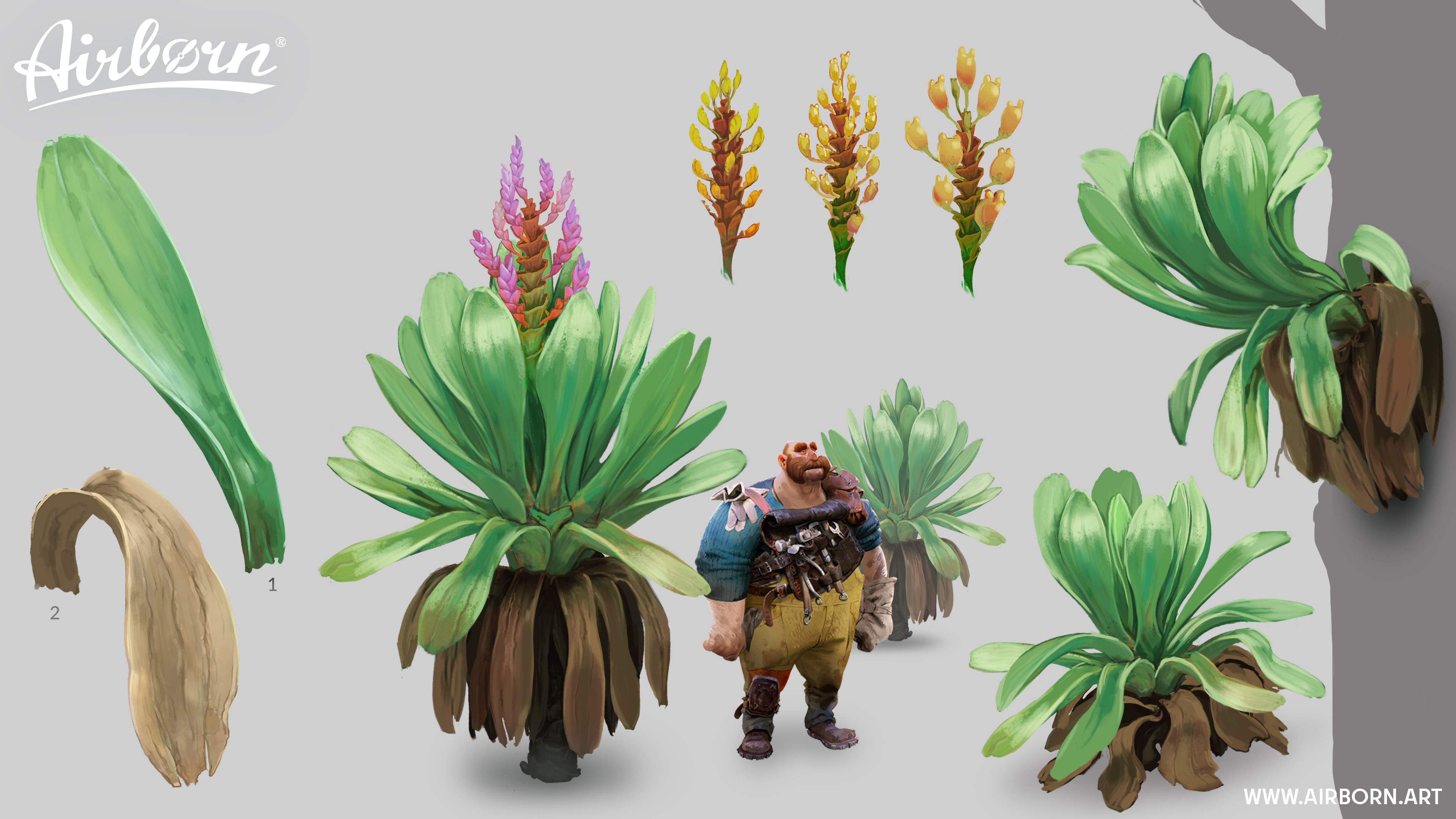 Agavae Concepts by Jonas Kunert