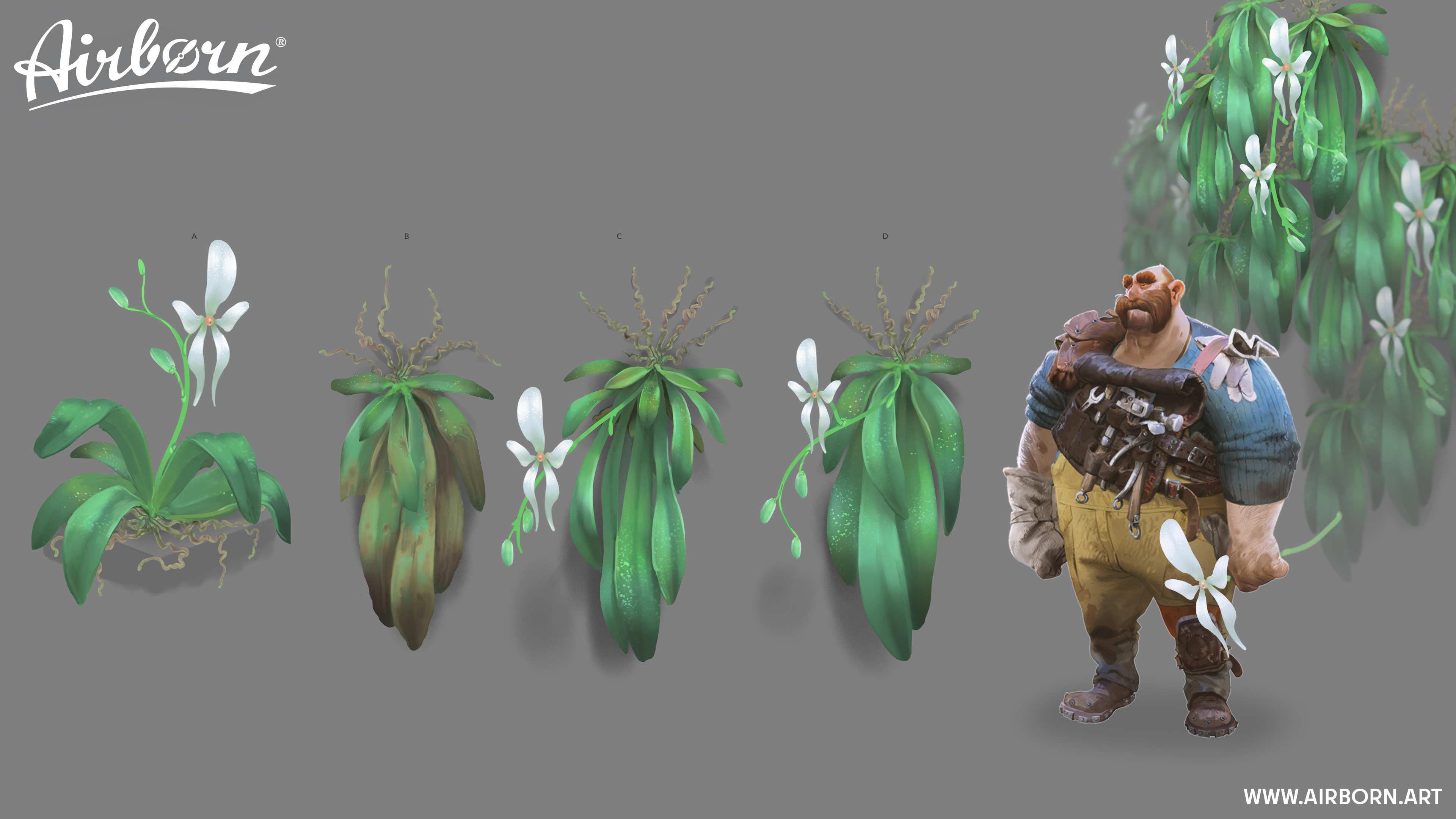 Orchid Concepts by Jonas Kunert