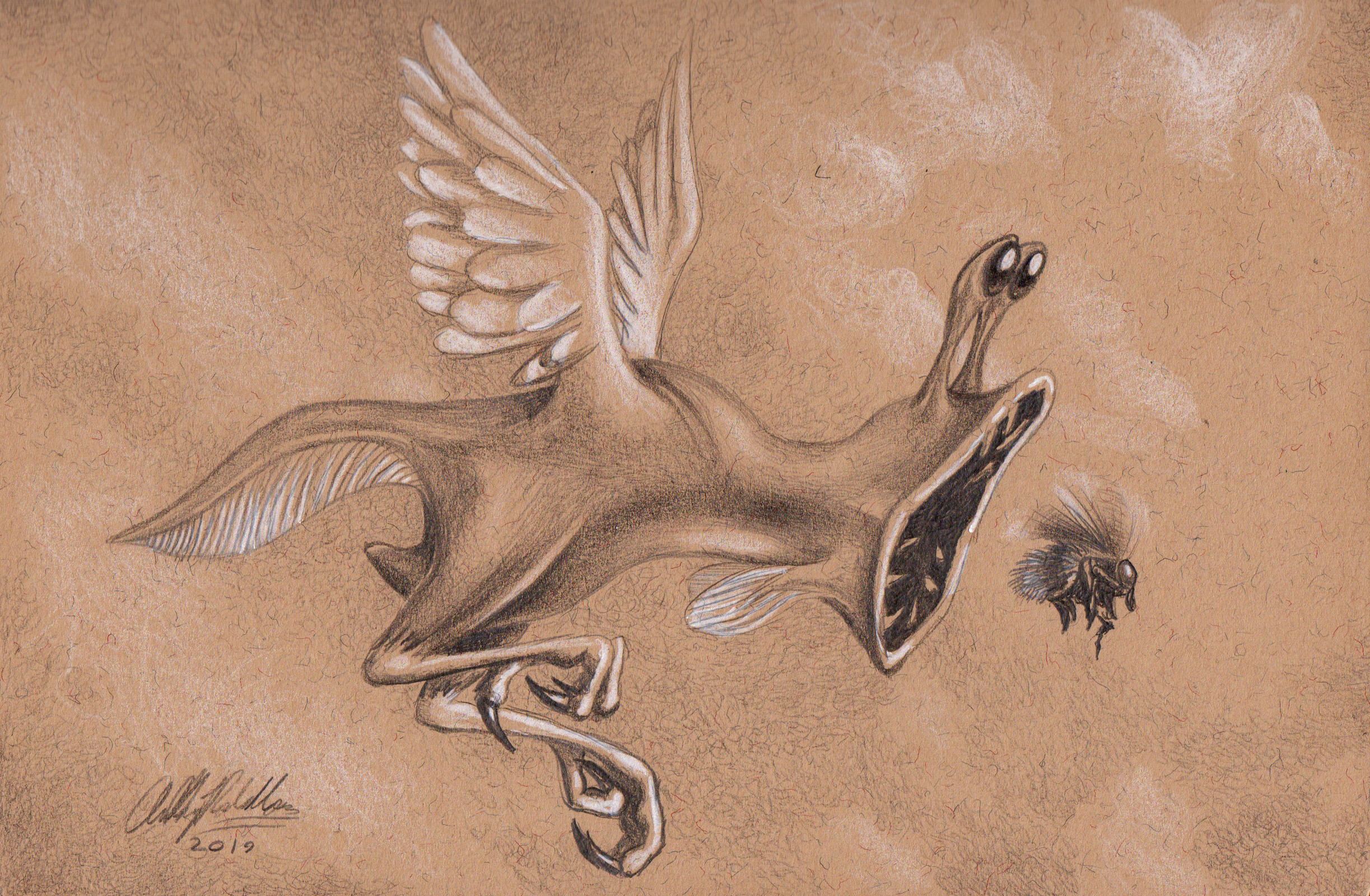 Bee Chase
Pencil on toned paper