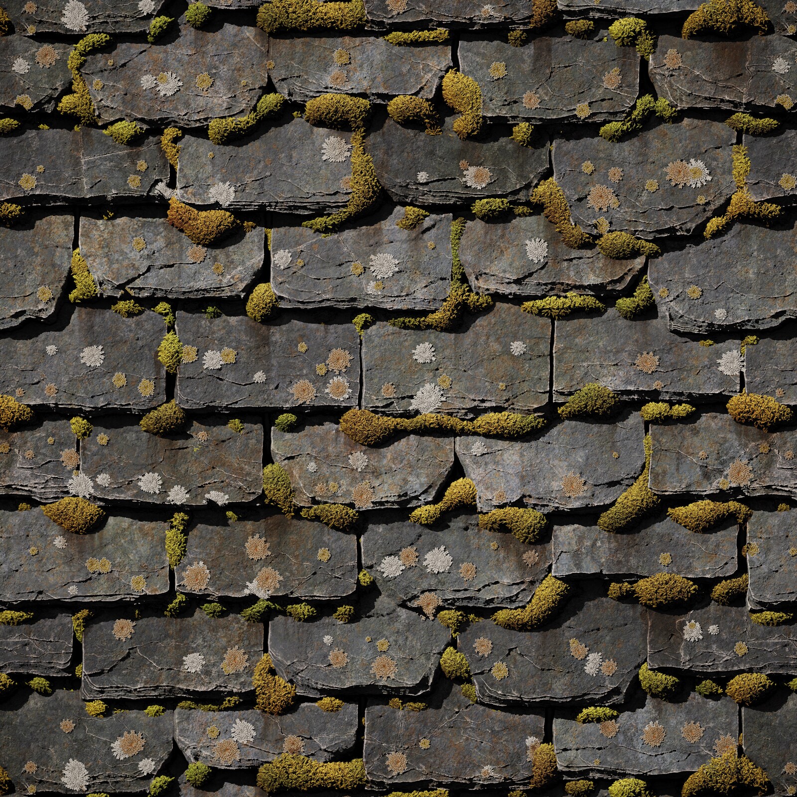 Bonus Render, with rectangular shape