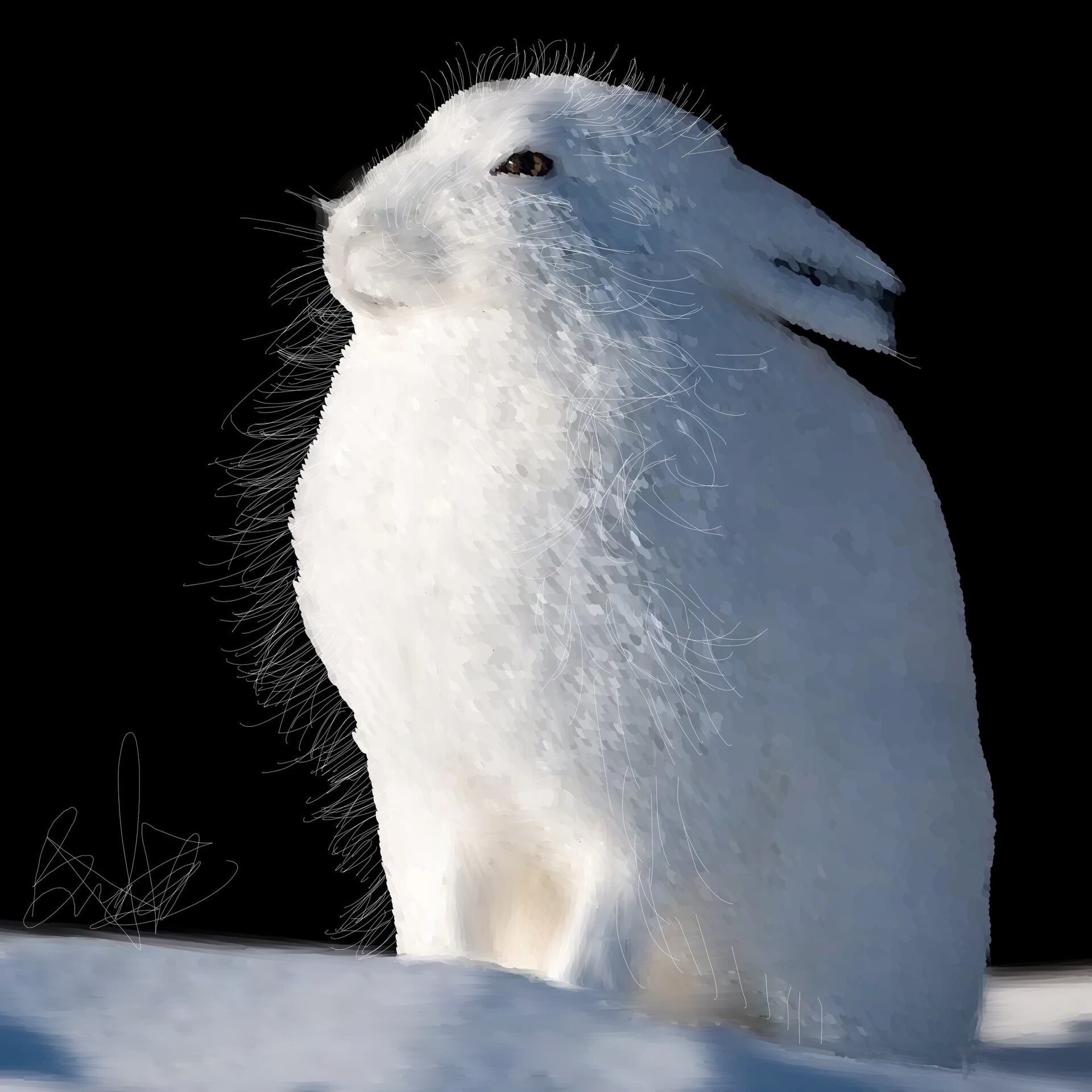 ArtStation - Snowshoe Hare