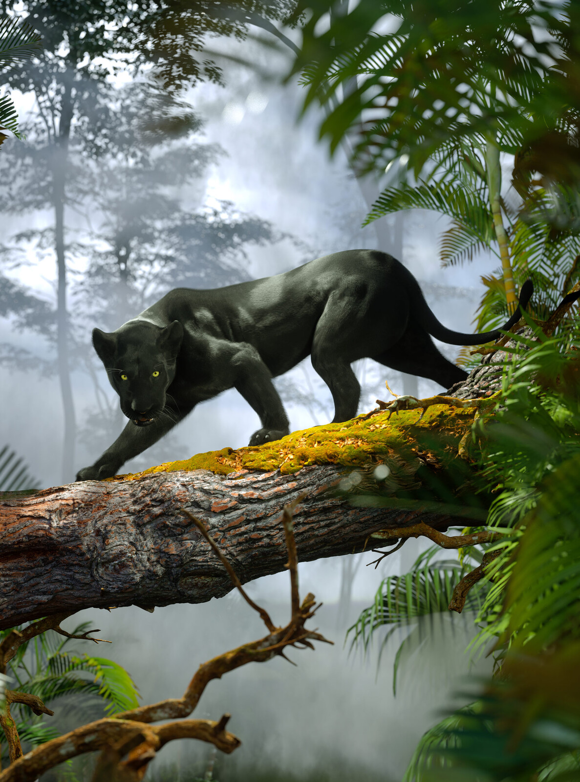 Many Strange Tales are Told of This Jungle