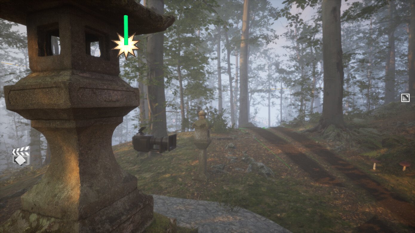 Some Forest Spots
