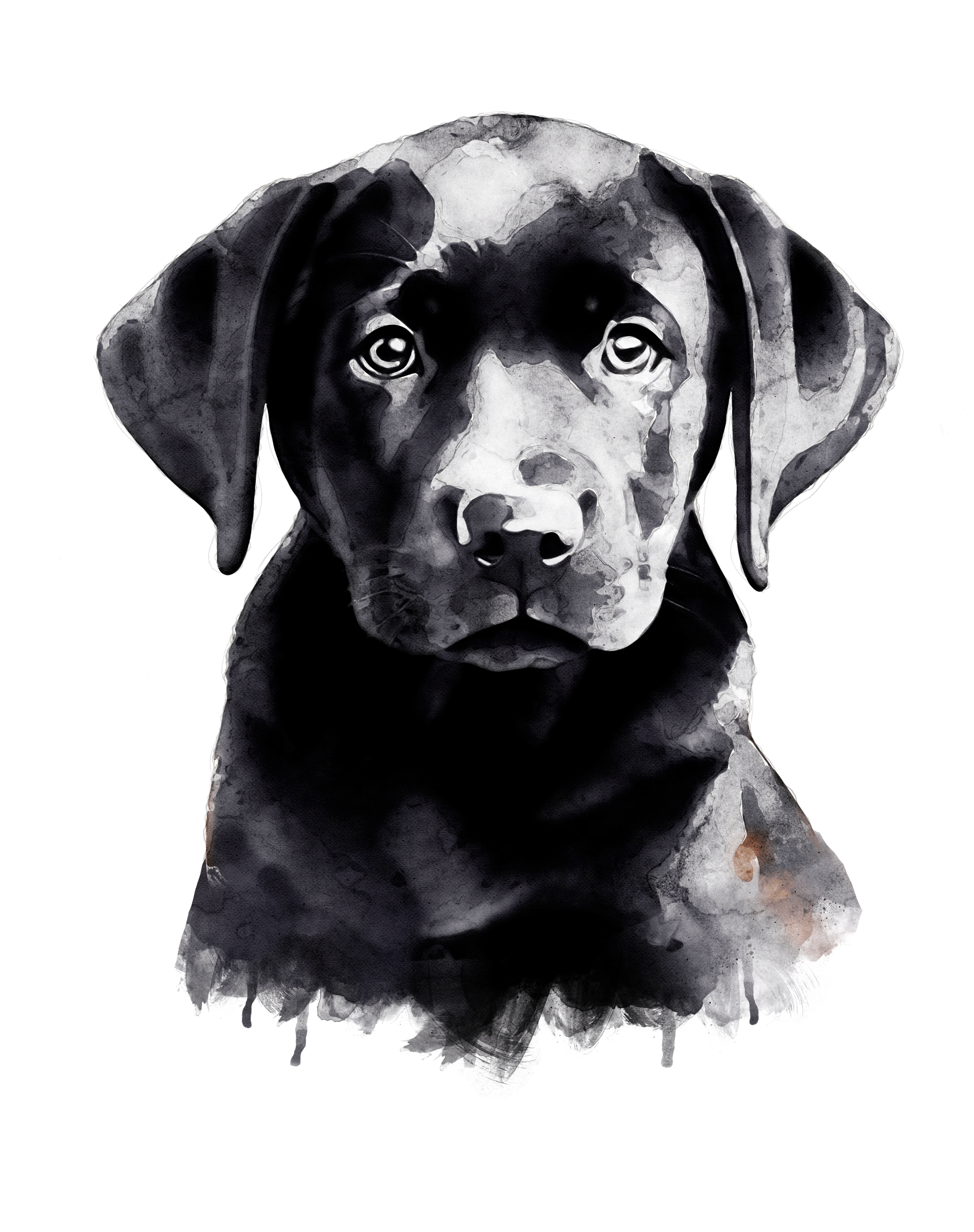ArtStation Black Labrador Retriever Puppy Watercolor Painting