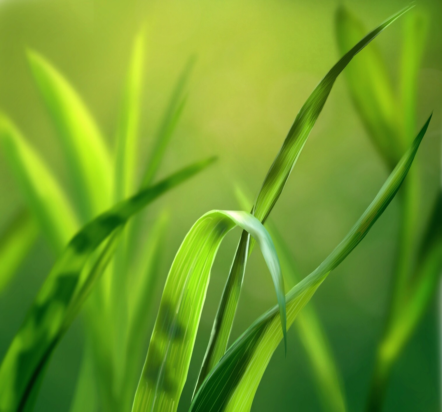 ArtStation - Sometimes even simple grass can be beautiful