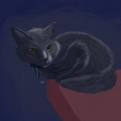 ArtStation - Ravenpaw sketch