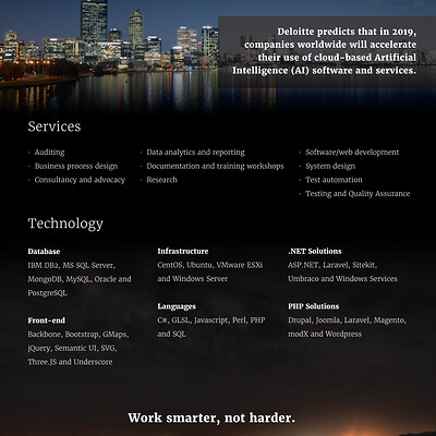 Programmer Brand Identity, Flyers, Graphics and Business Cards