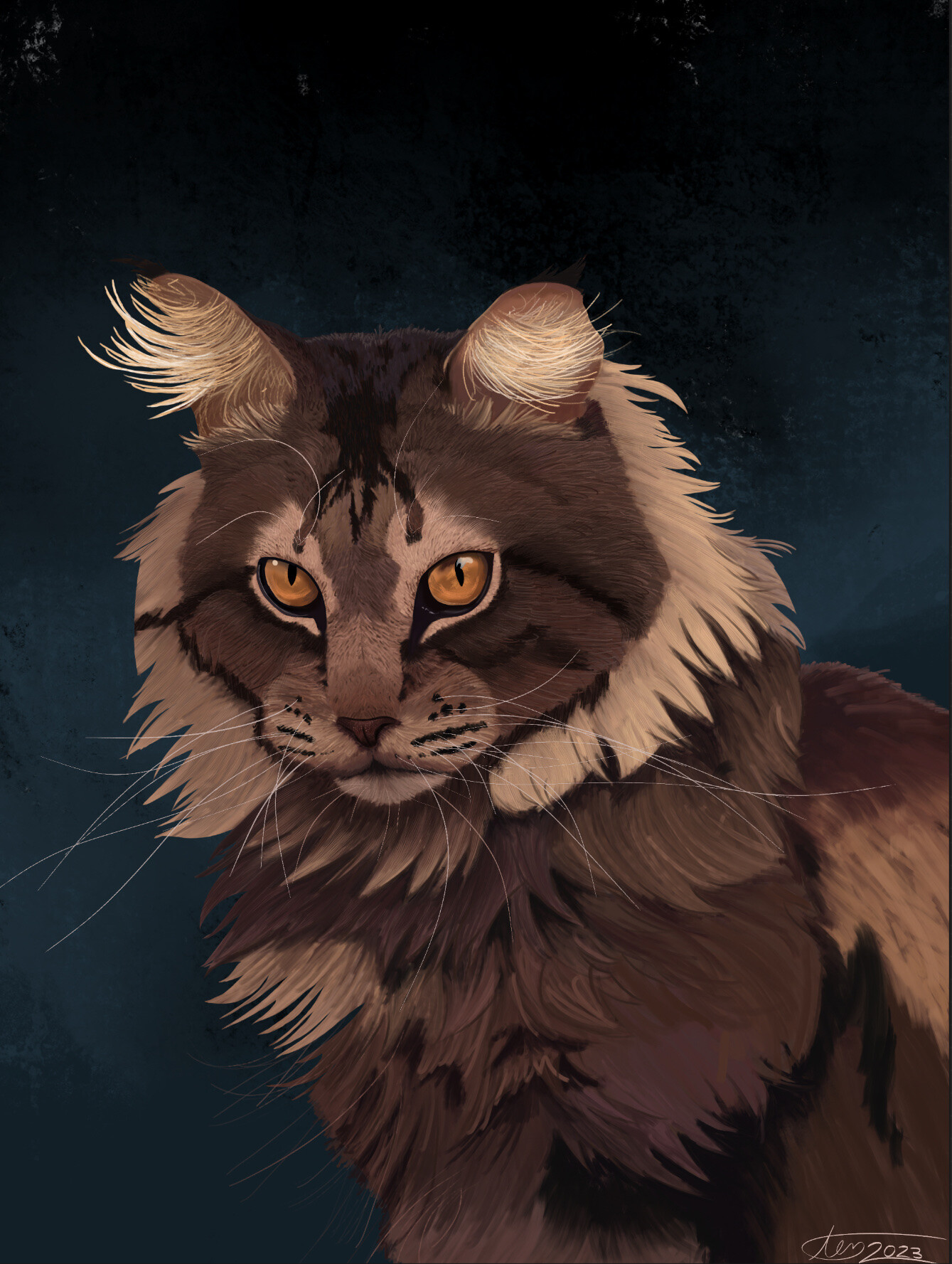 ArtStation - Maine coon portrait