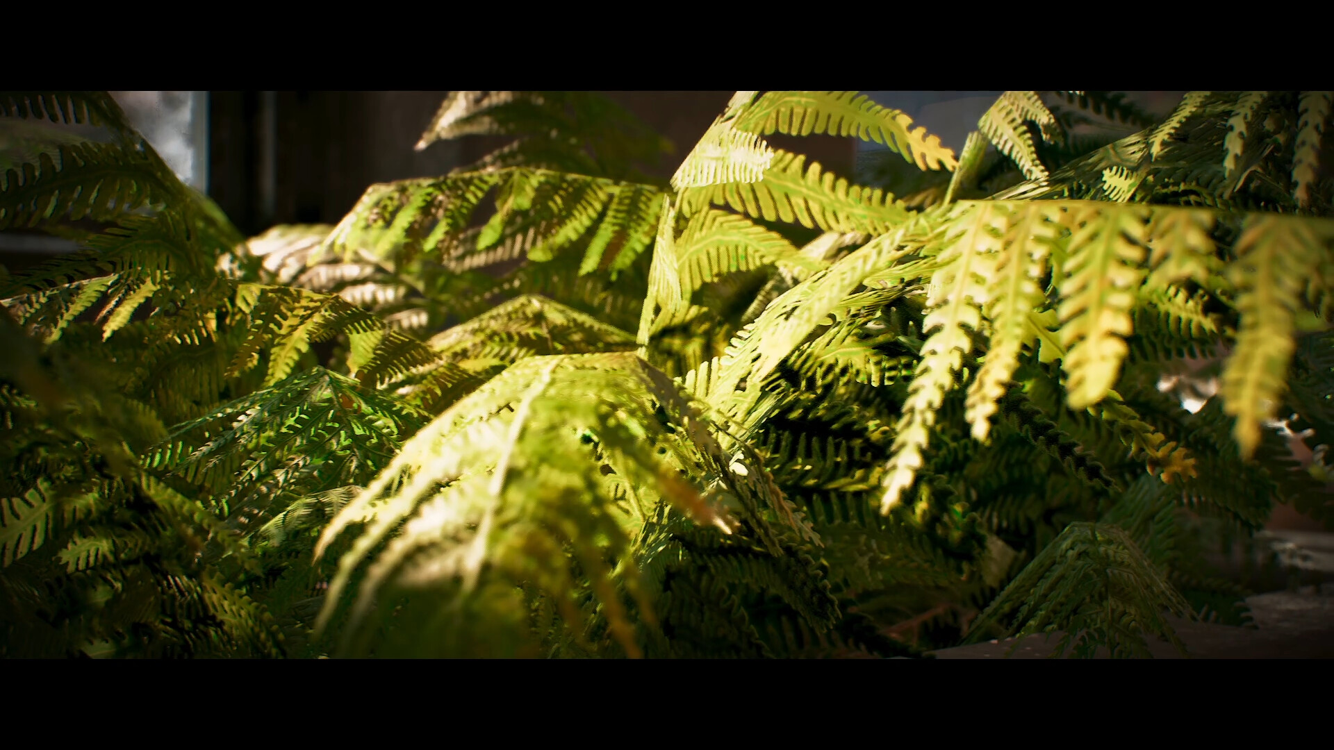 Romain paindessous ue5 camera animation