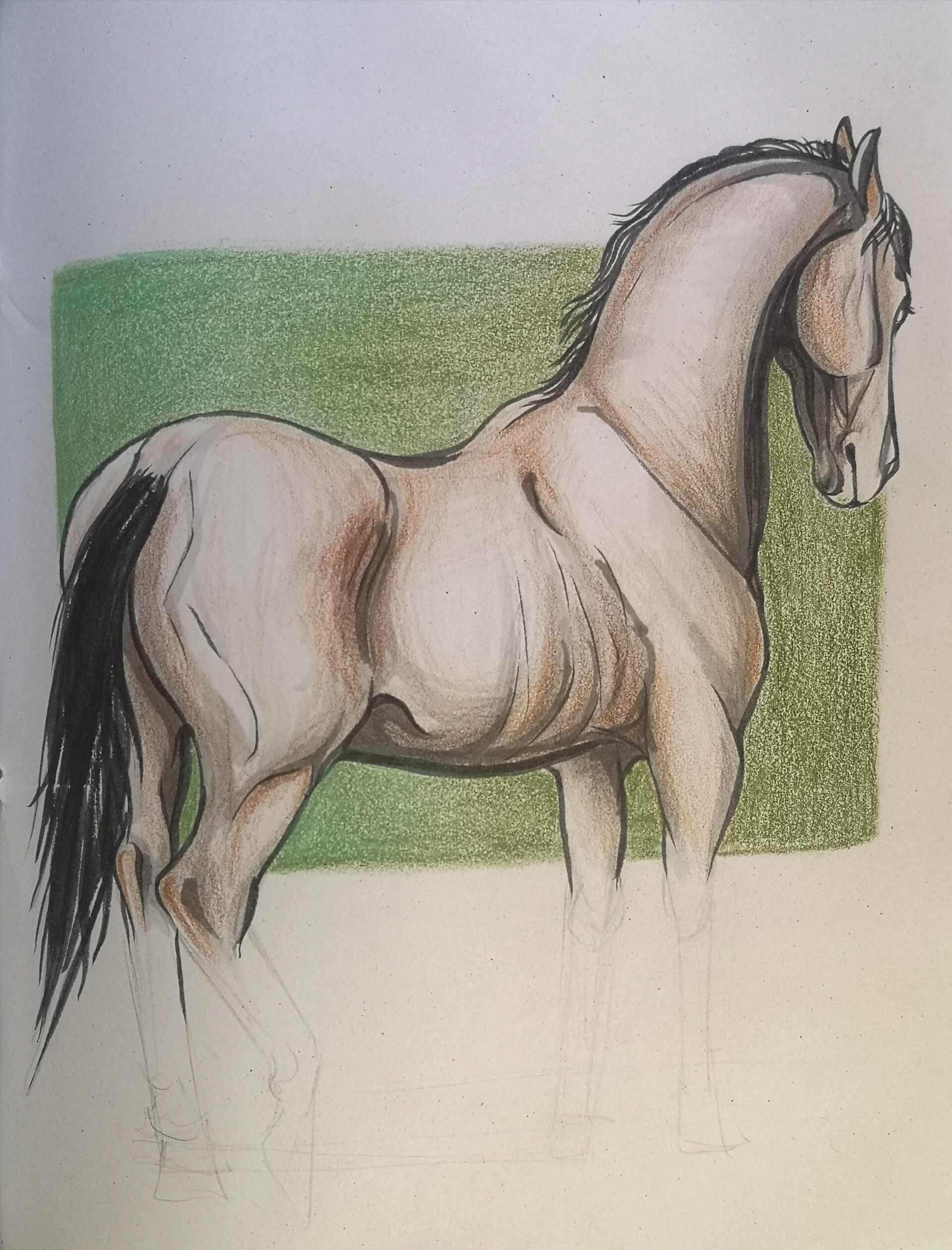 HORSES DRAWING: How to Draw a Great Looking Horses for Kids, Beginners, and  Adults.Learn how to draw Horses with easy, step-by-step drawing ... you too  can easily draw a beautiful Horses. :
