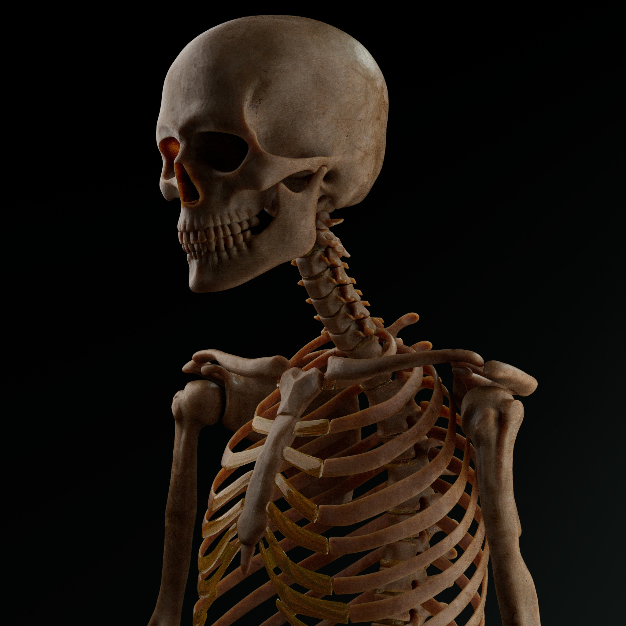 Render 3