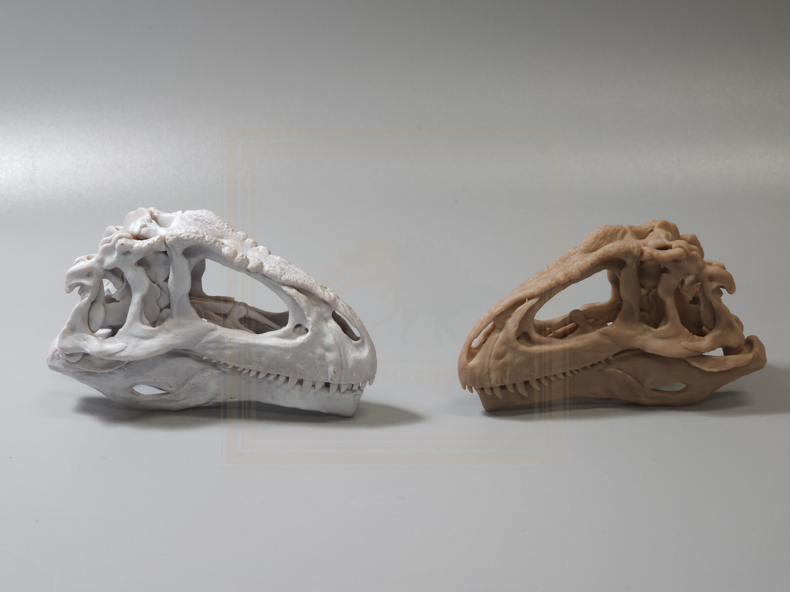 1. Giganotosaurus
1:18 Length:9.6cm x Height:5.8cm Width:4cm – Price 50usd
1:20 Length:8.7cm x Height:5.2cm Width:3.6cm – Price 40usd