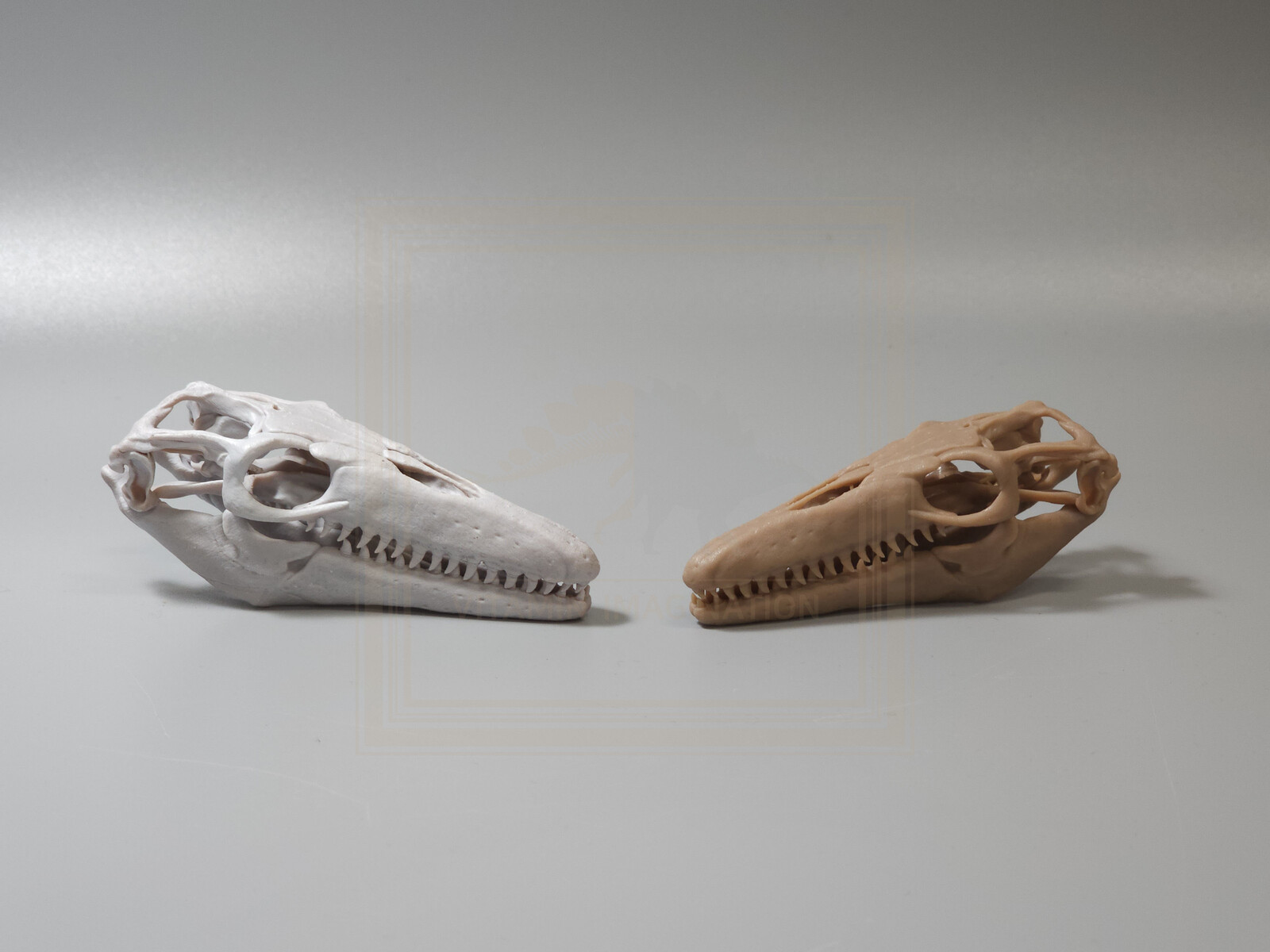 4. Mosasaurus
1:18 Length:9.6cm x Height:3.4cm Width:3.4cm – Price 45usd
1:20 Length:8.6cm x Height:3cm Width:3cm - Price 35usd