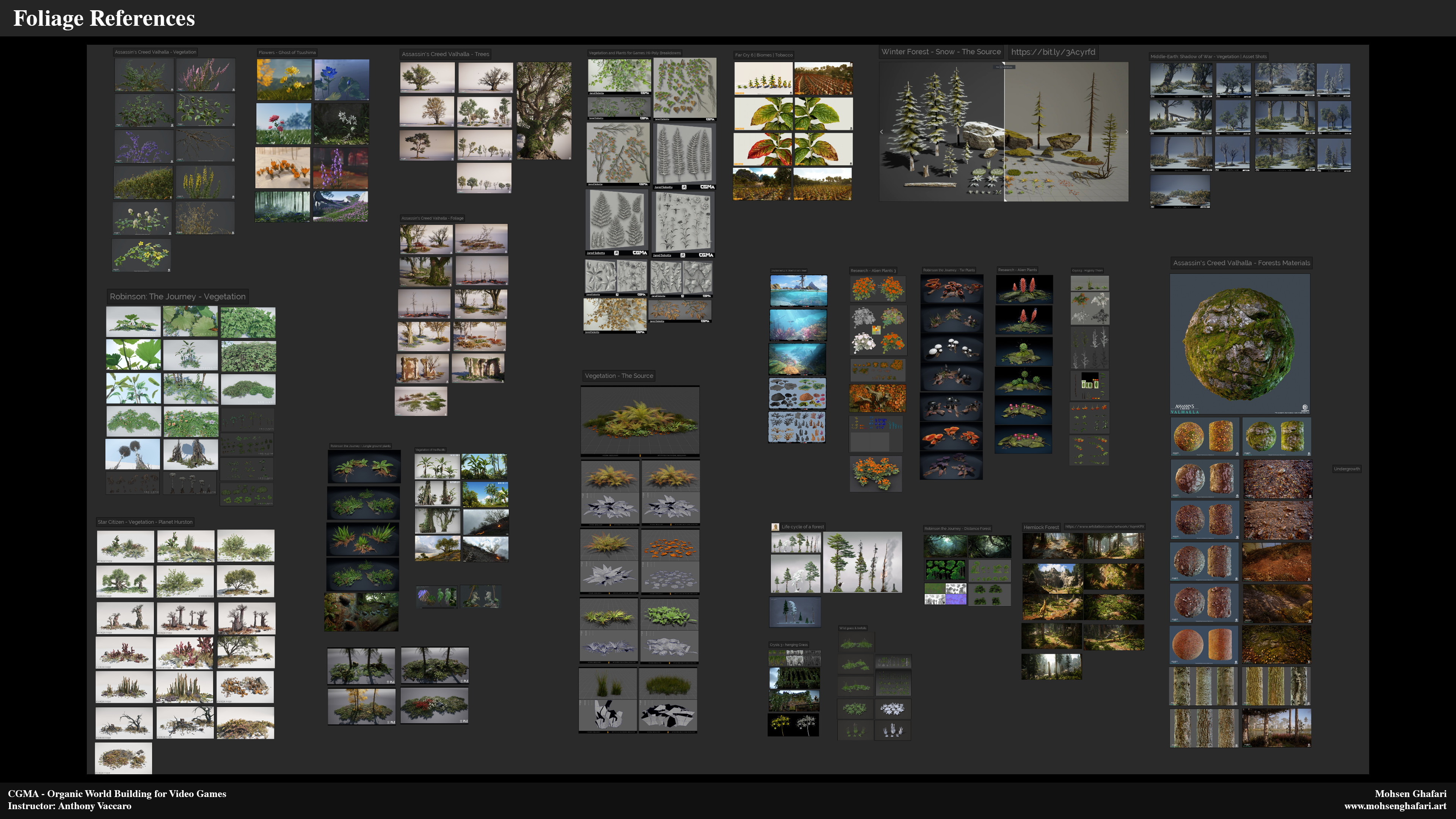 At the beginning of the workshop, I started to gather as much as reference as I can and put them together in a categories so I can look at them. in this reference board, I collected foliage that I might use in my scene.