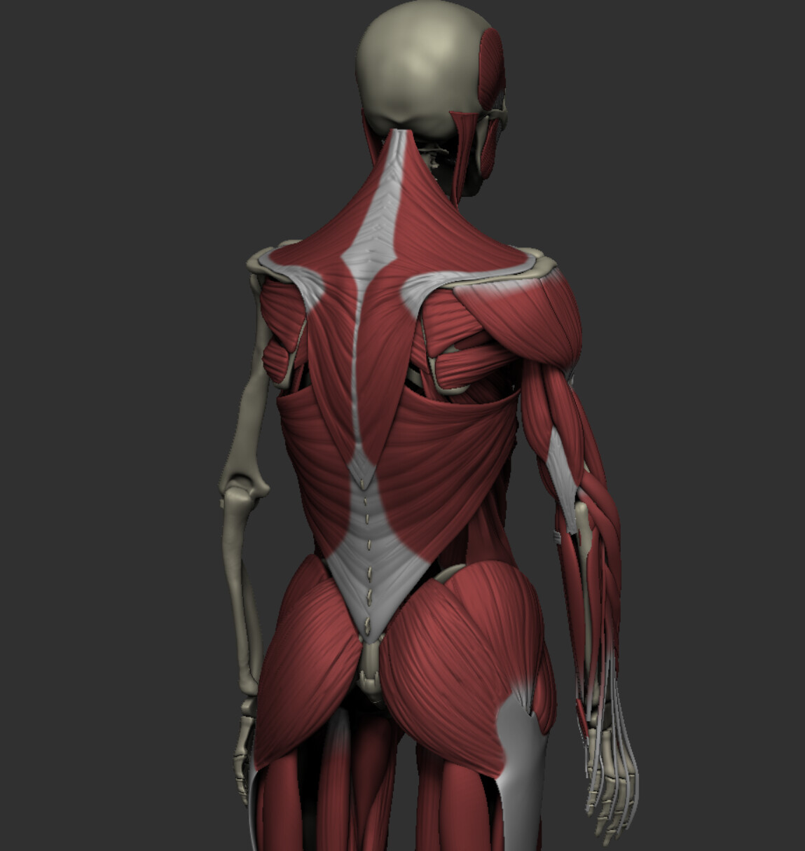 Work in Progress
