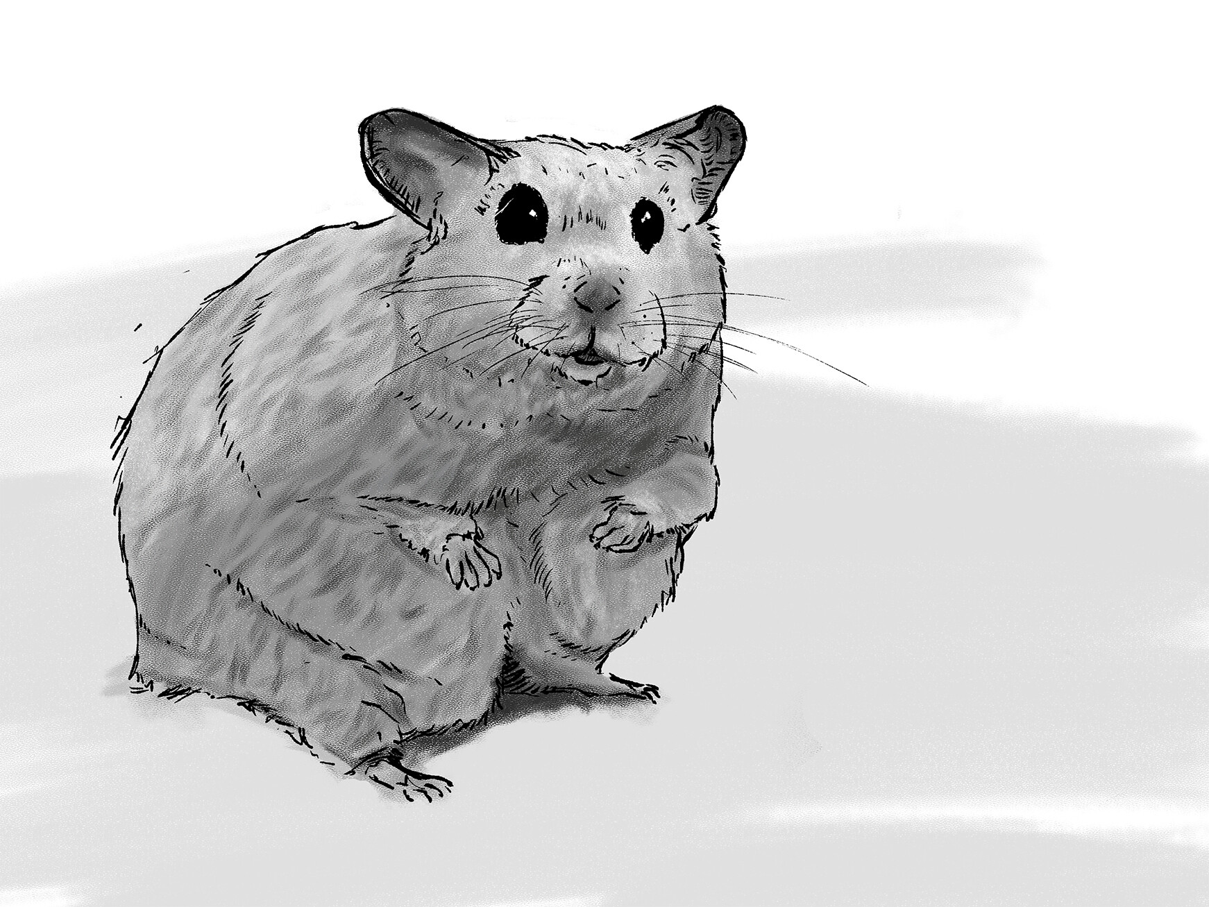 Life Is Better With A Hamsters Love Hamsters Digital Art by EQ Designs -  Pixels