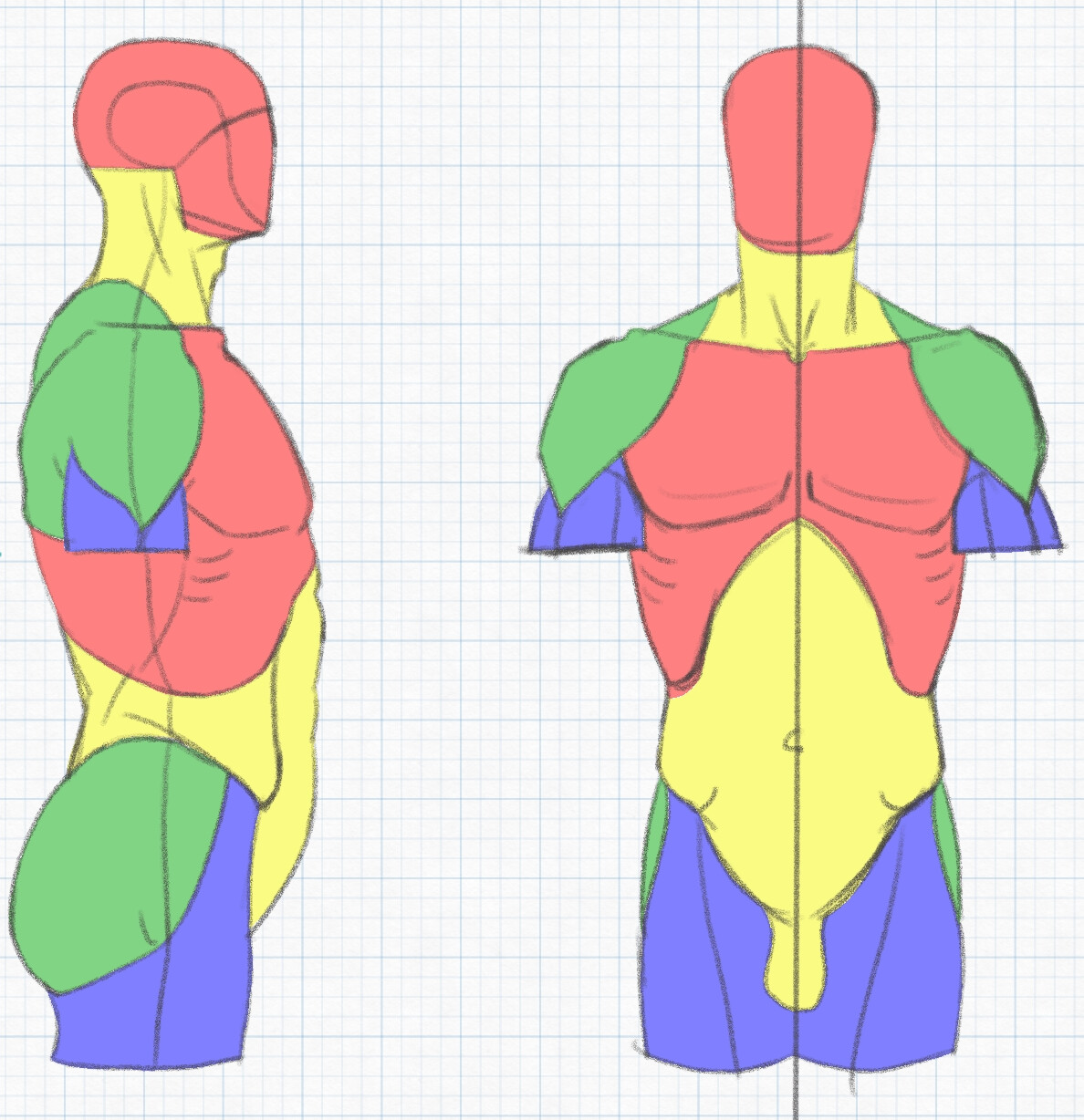 Imitating an instructional from @kato_anatomy on Instagram