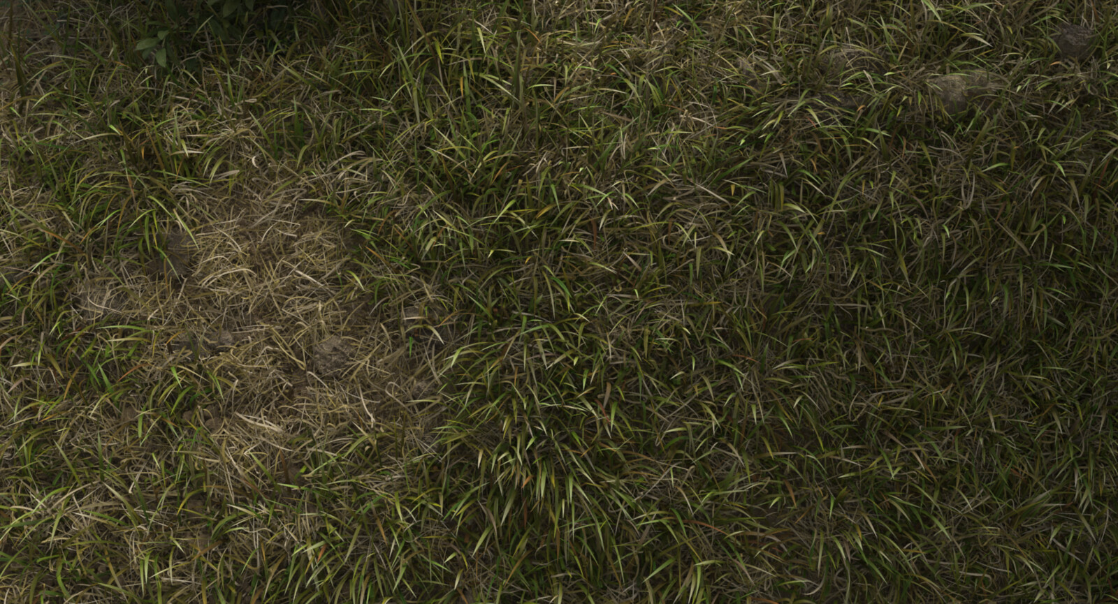 Closeup of the grass details.