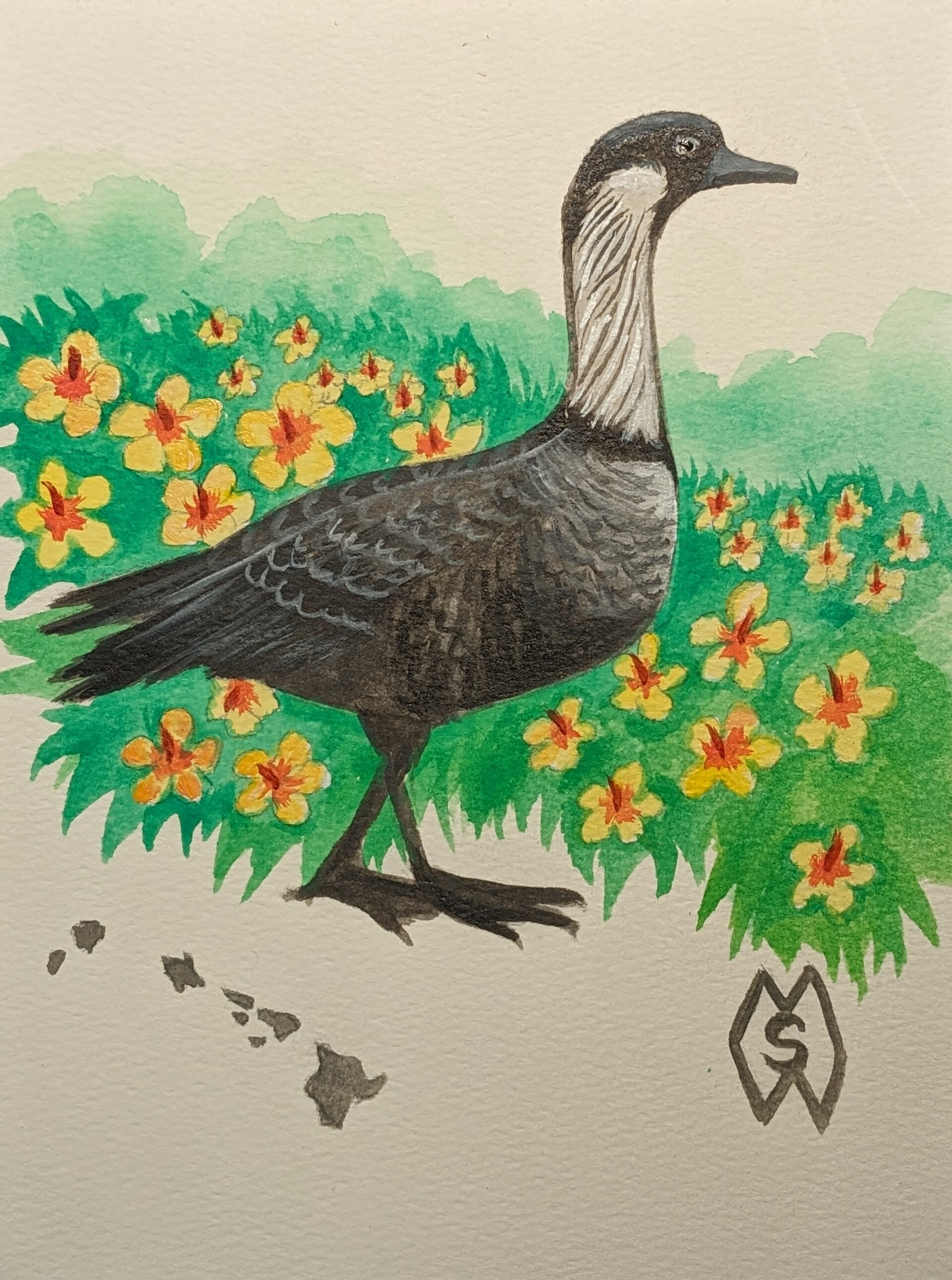 ArtStation Hawaii state bird and flower the Nene and yellow hibiscus