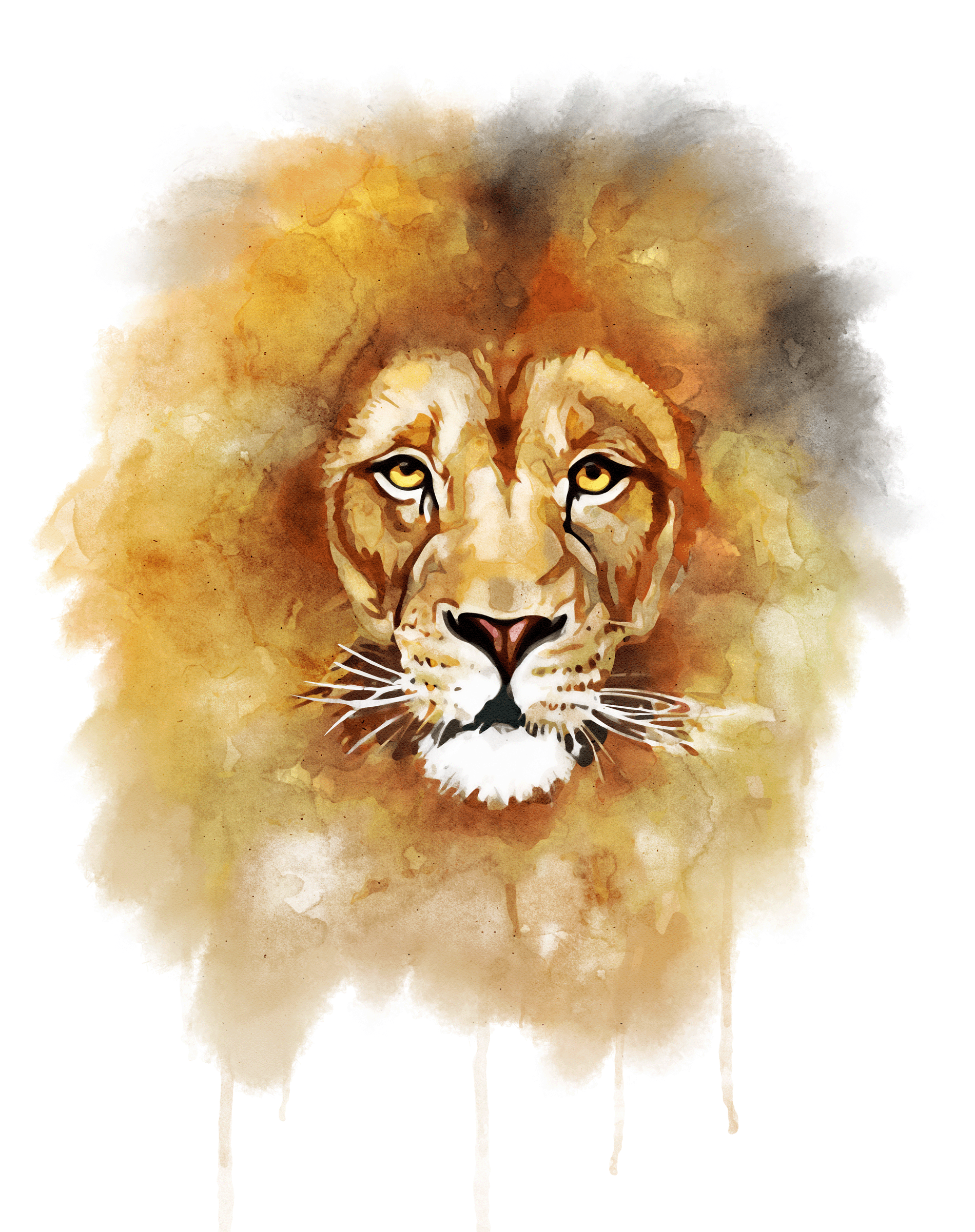 Lion watercolor sales
