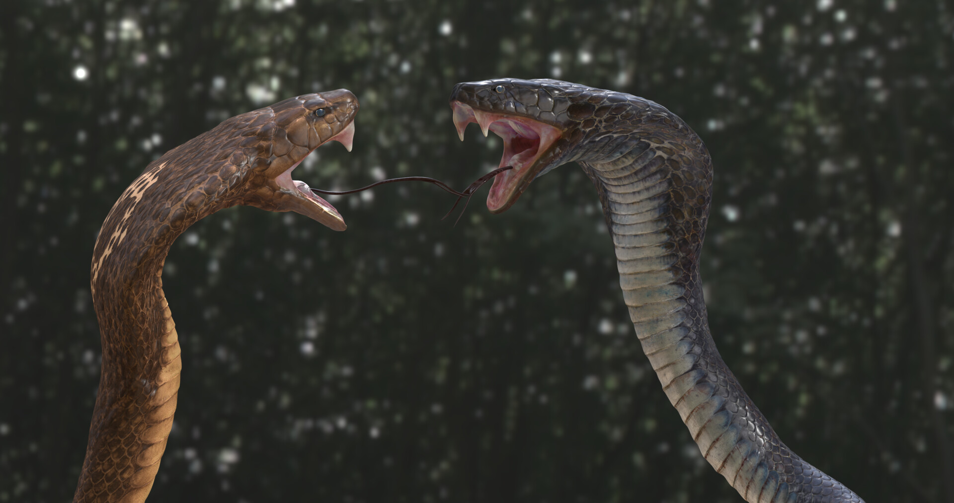 ArtStation - The Snake Fight