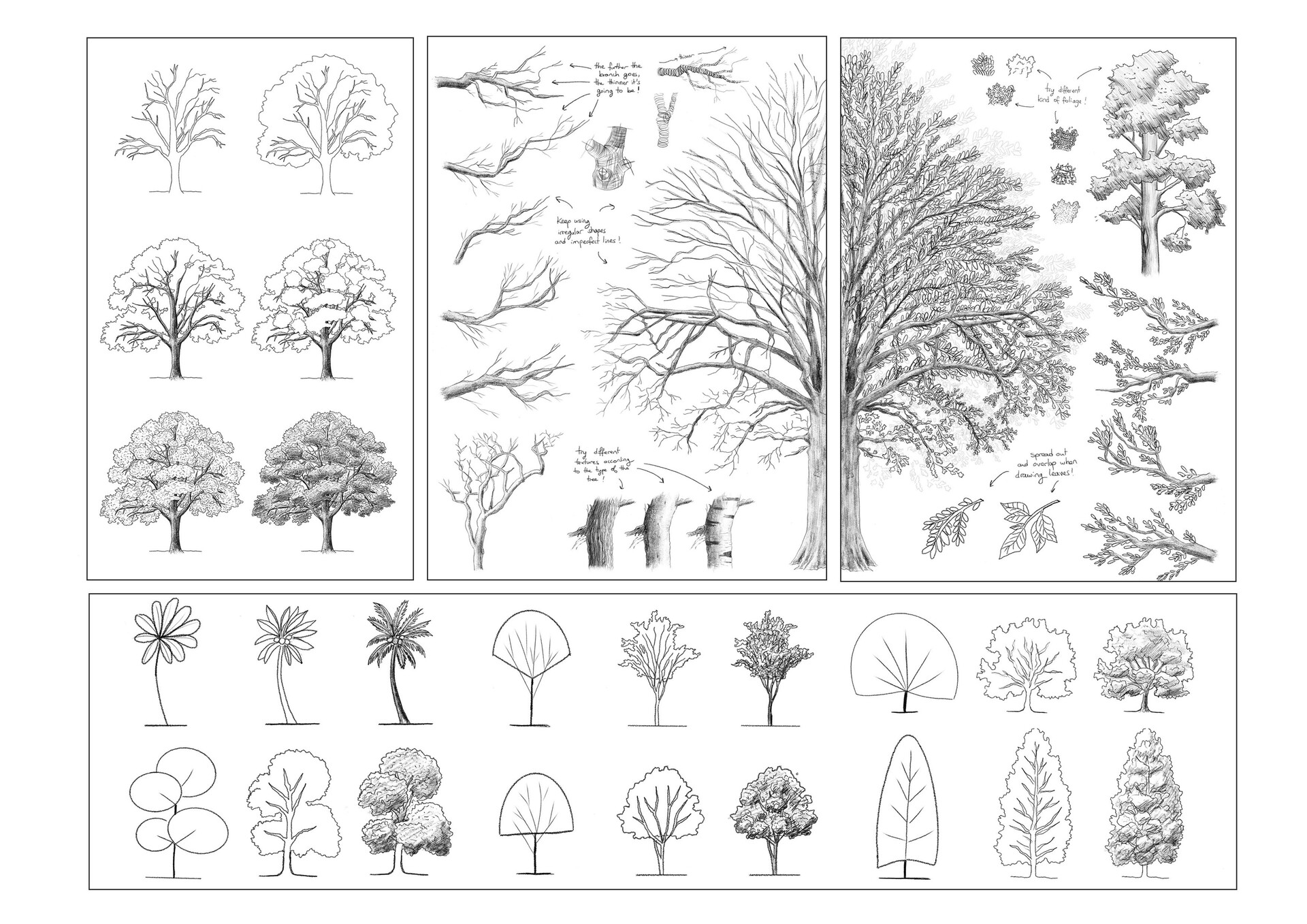Sketch of deciduous trees set three plants - Stock Illustration [75525764]  - PIXTA