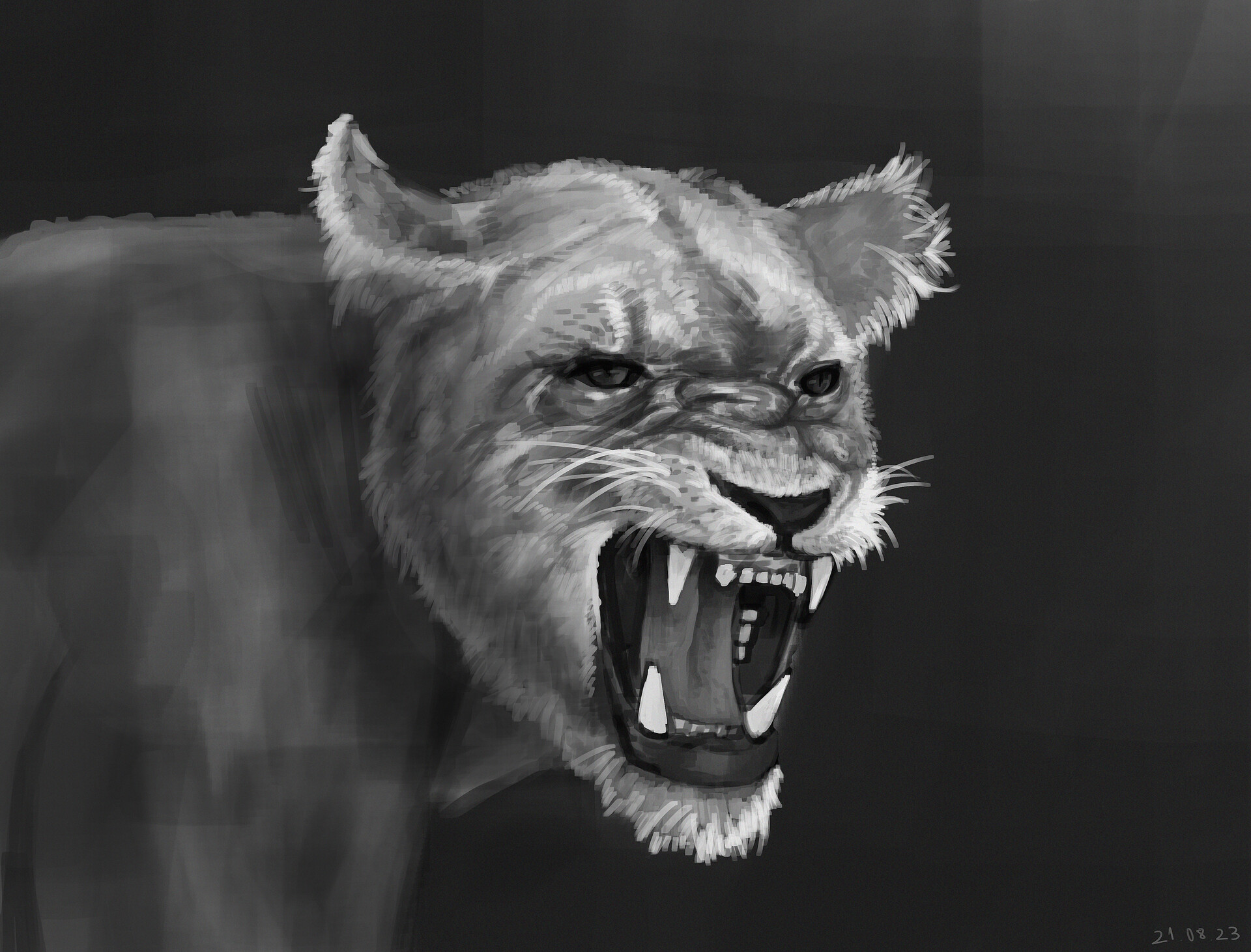 Drawing by Bahadır Atcı