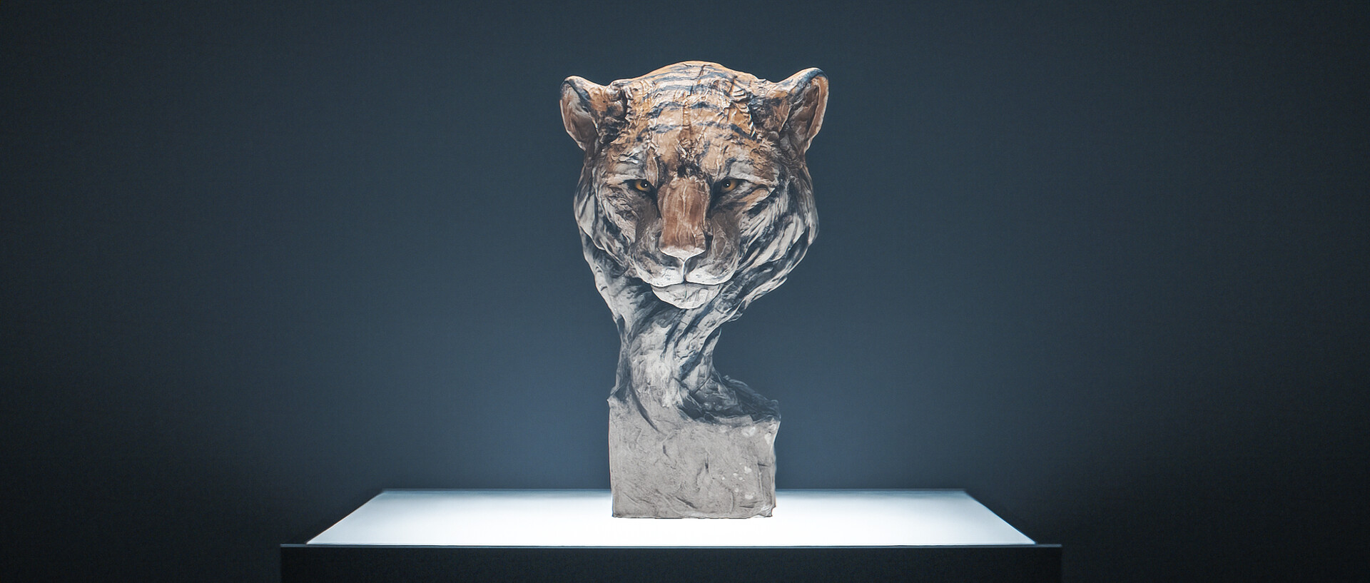 ryu takashima - Clay Tiger