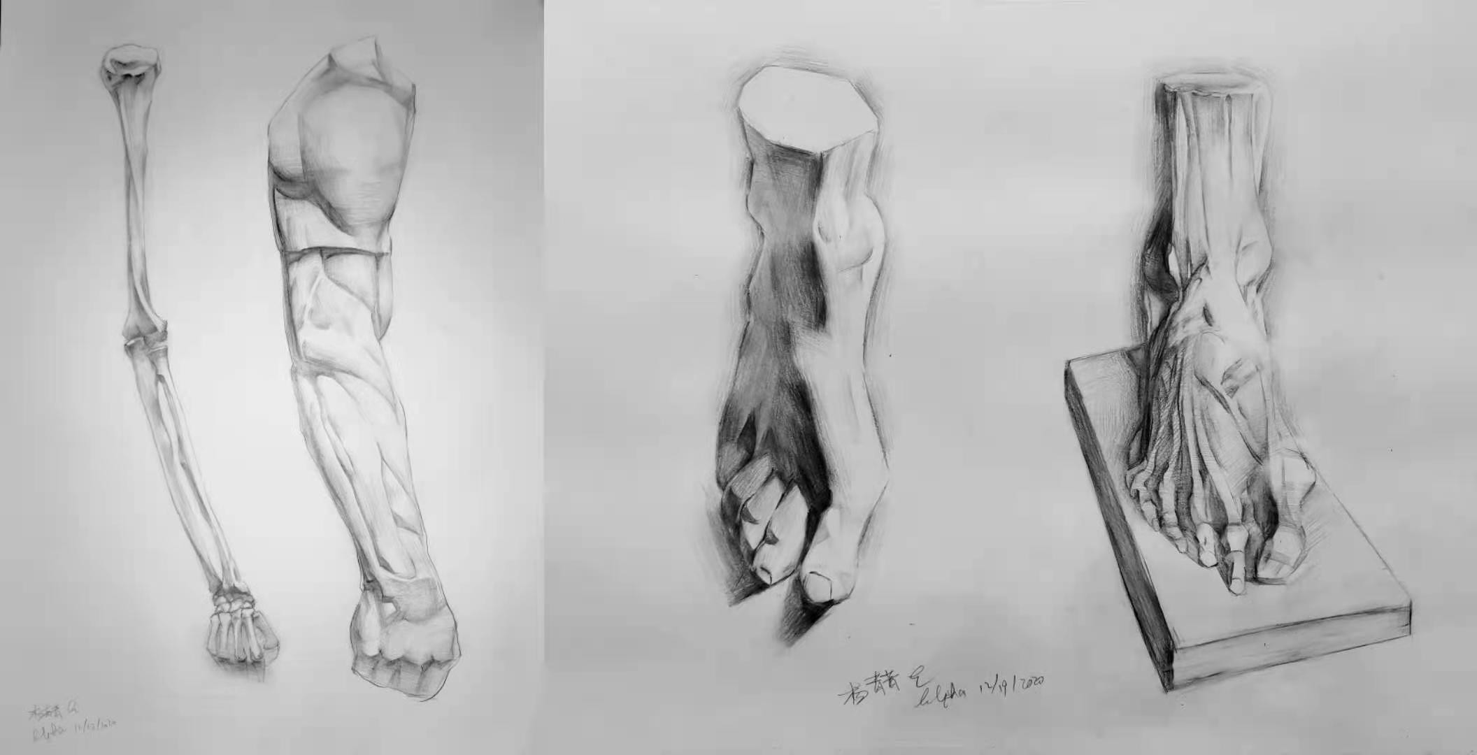 Human anatomy studies for arms and feet. Sketches only involve pencils.
