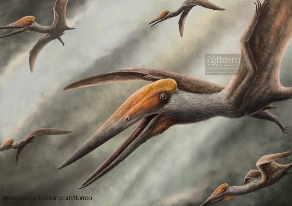 Flying Dinosaurs': The Prehistoric Rulers of the Sky