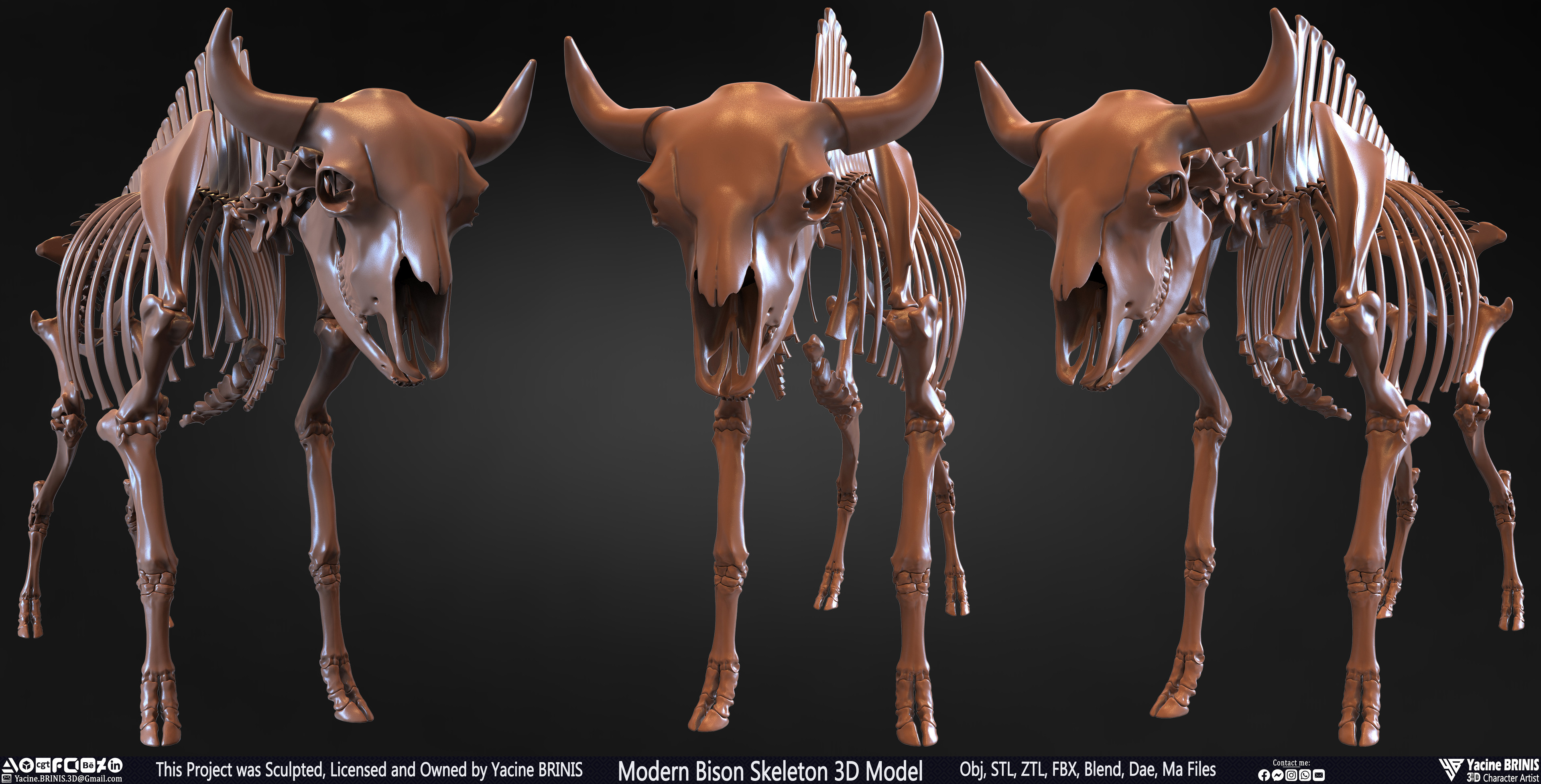 Modern Bison Skeleton 3D Model Sculpted by Yacine BRINIS Set 001