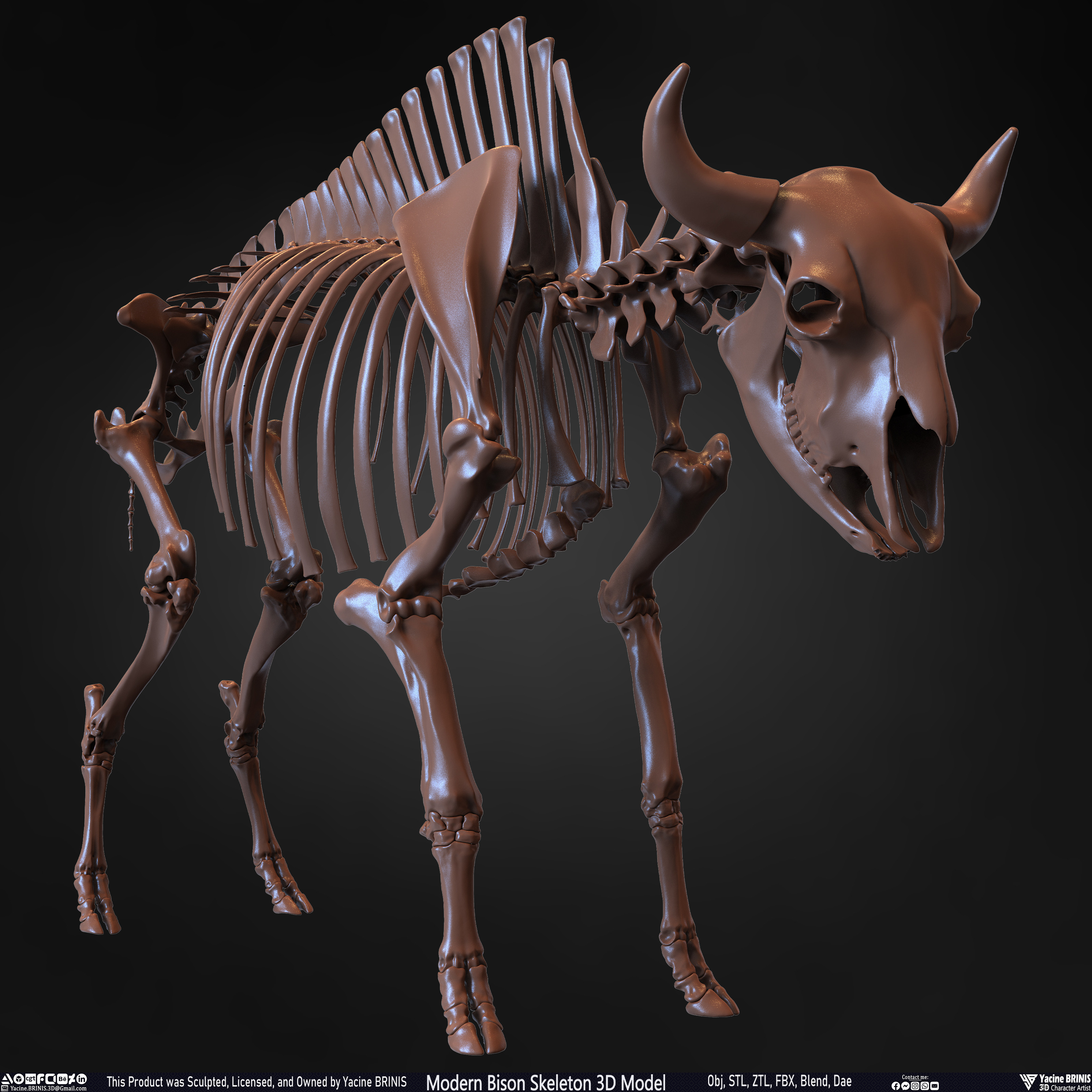 Modern Bison Skeleton 3D Model Sculpted by Yacine BRINIS Set 005