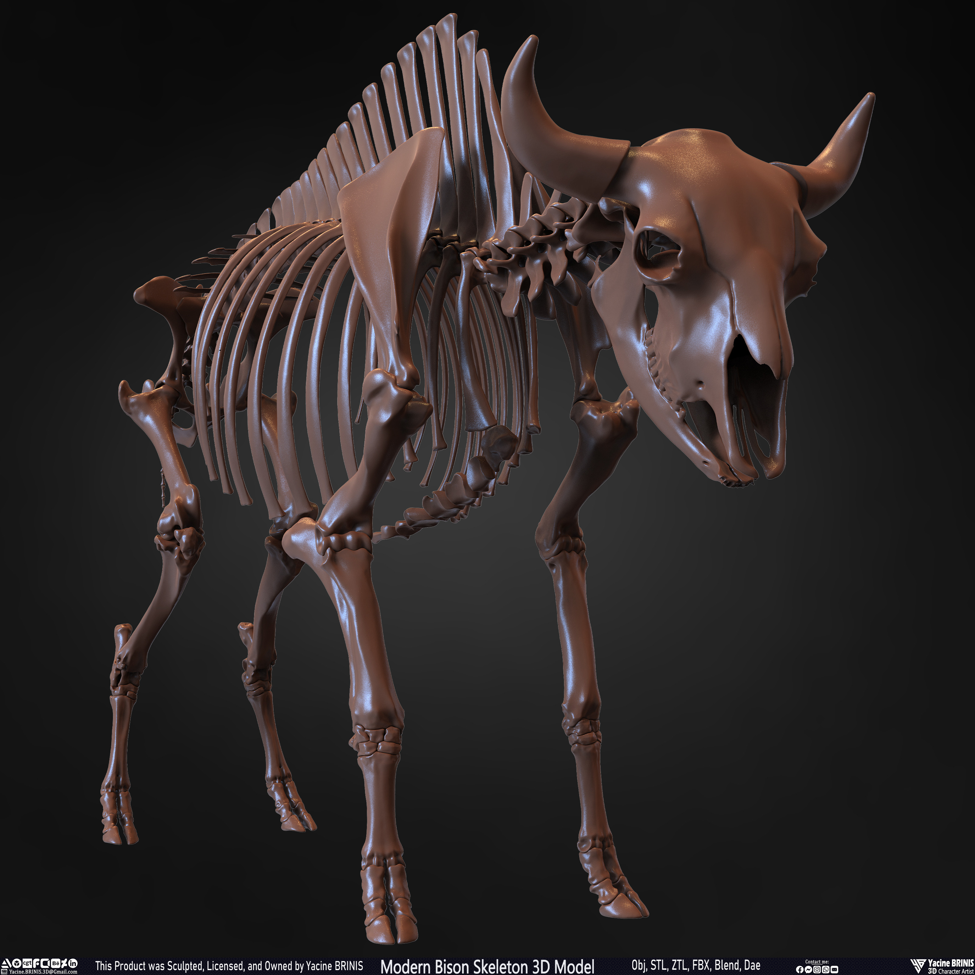 Modern Bison Skeleton 3D Model Sculpted by Yacine BRINIS Set 006