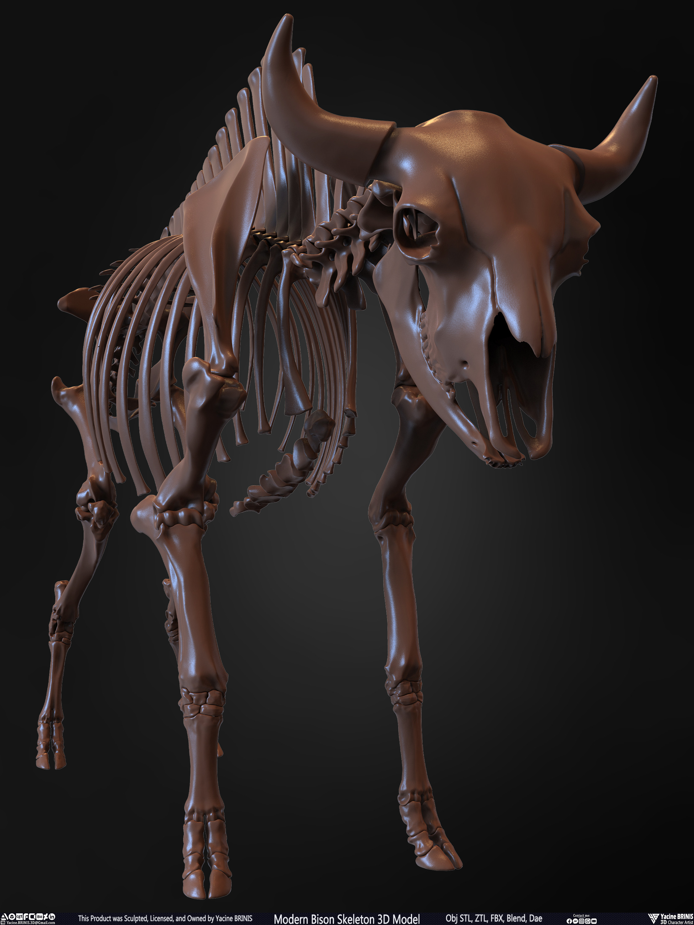 Modern Bison Skeleton 3D Model Sculpted by Yacine BRINIS Set 007