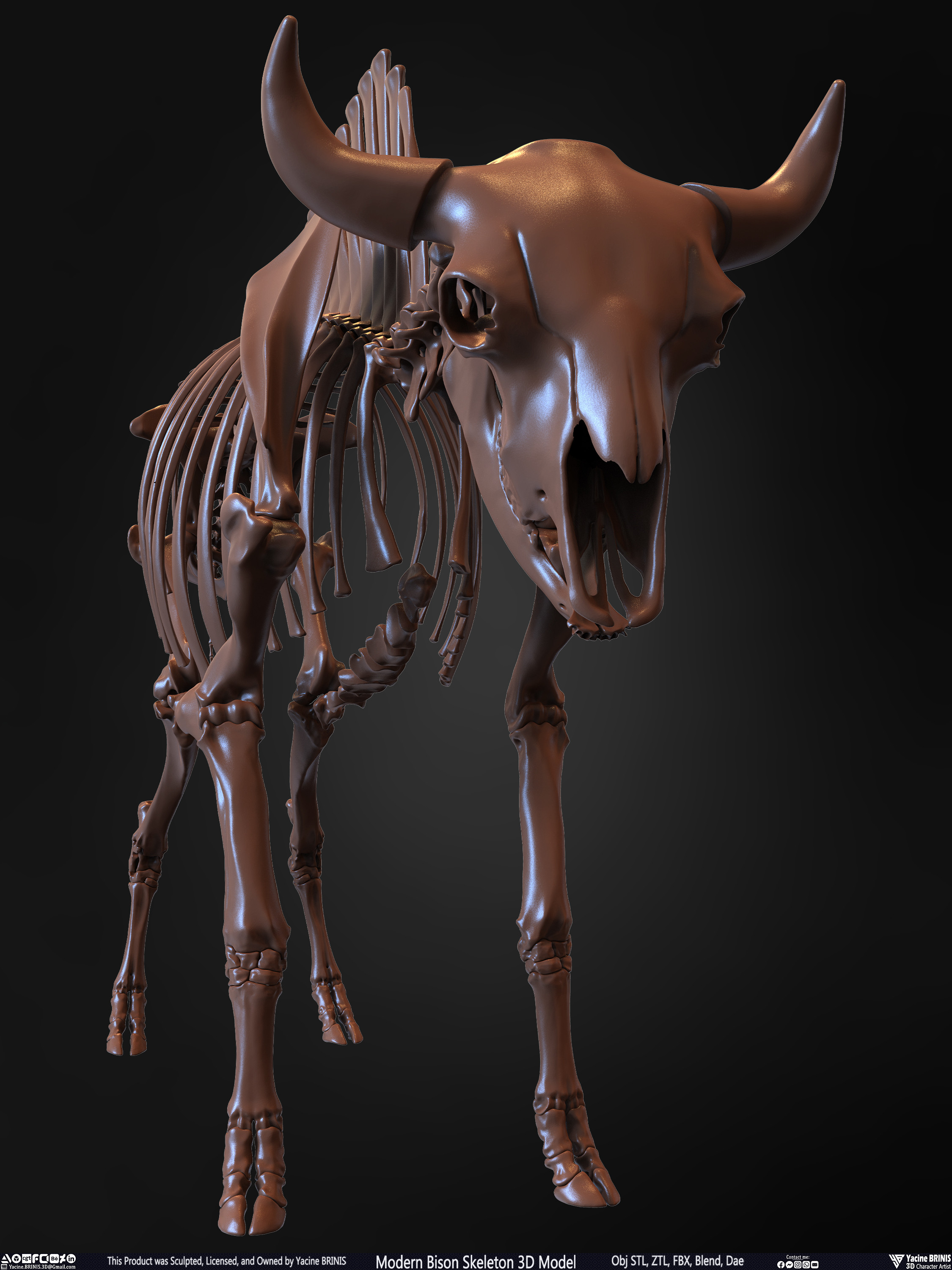 Modern Bison Skeleton 3D Model Sculpted by Yacine BRINIS Set 008