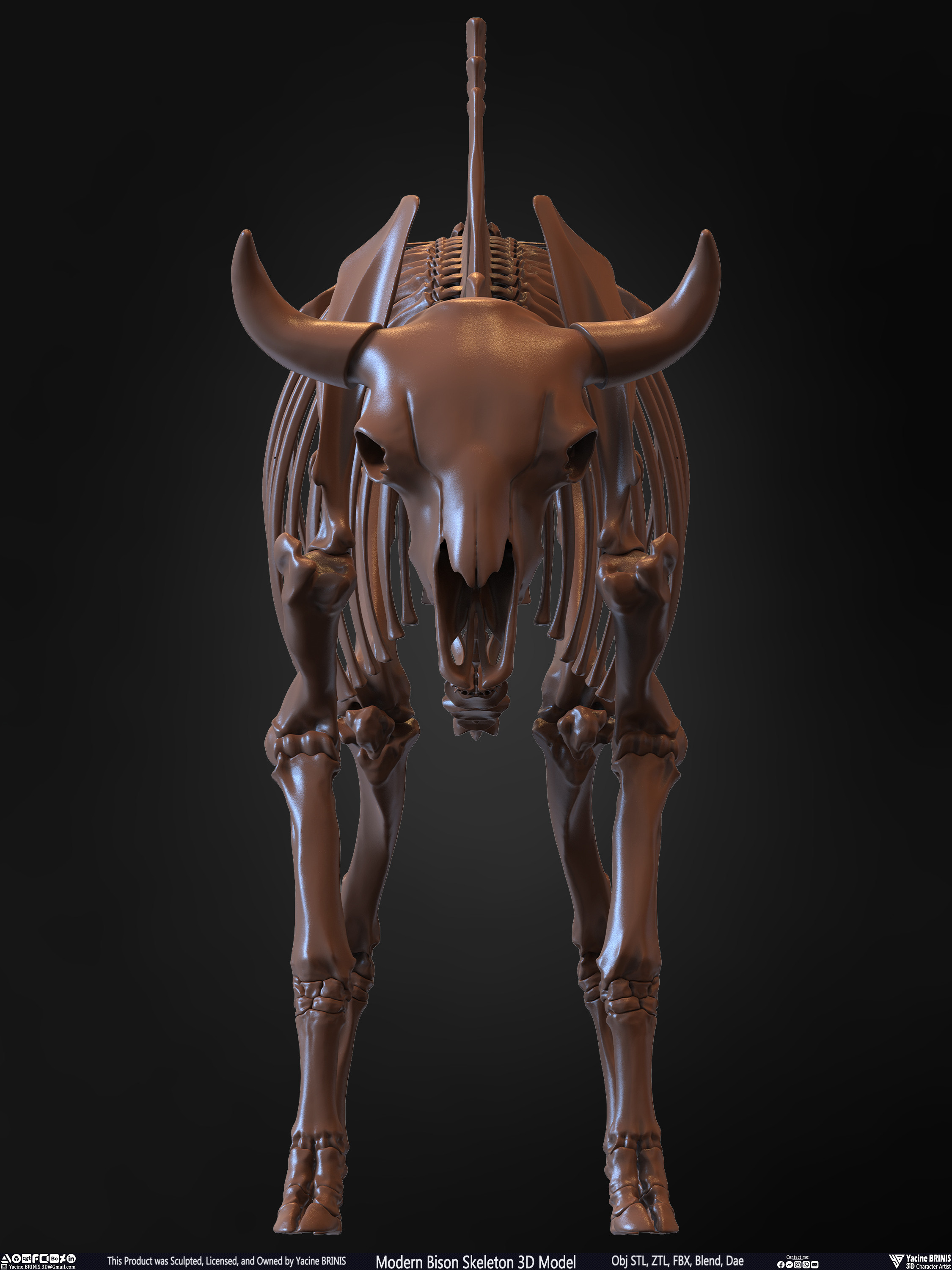 Modern Bison Skeleton 3D Model Sculpted by Yacine BRINIS Set 009