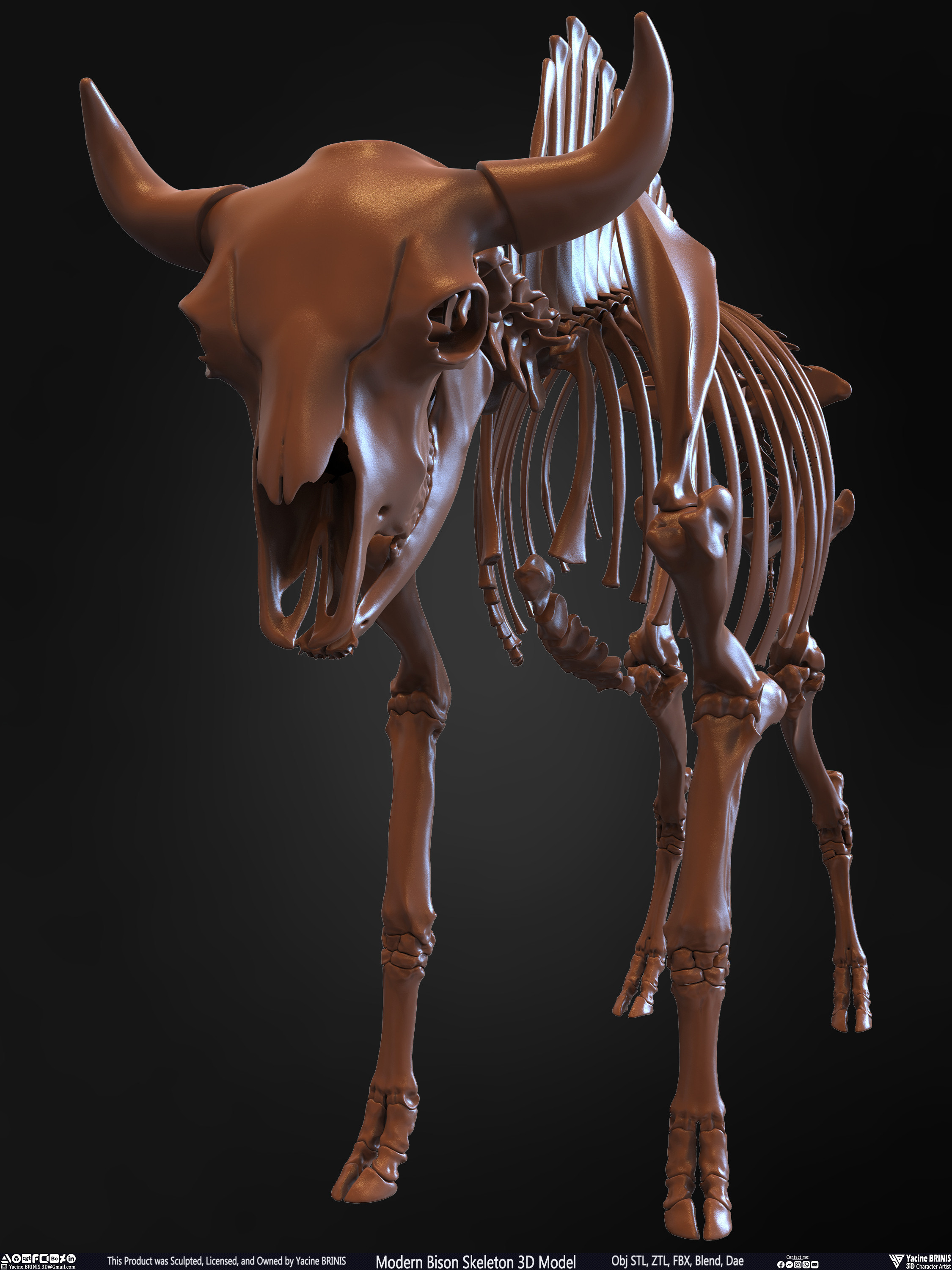 Modern Bison Skeleton 3D Model Sculpted by Yacine BRINIS Set 011