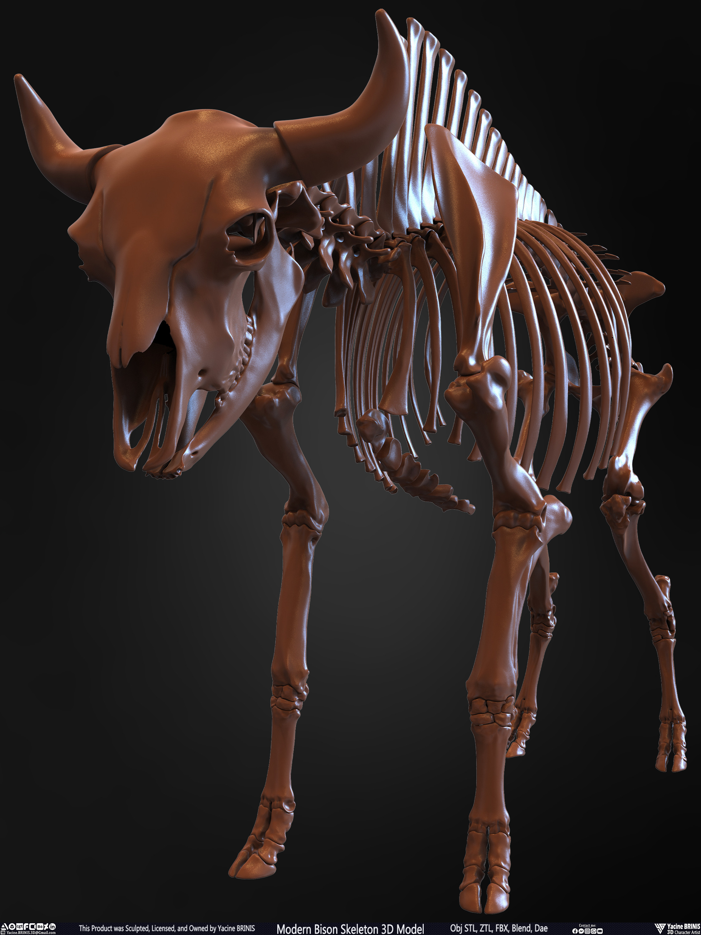 Modern Bison Skeleton 3D Model Sculpted by Yacine BRINIS Set 012