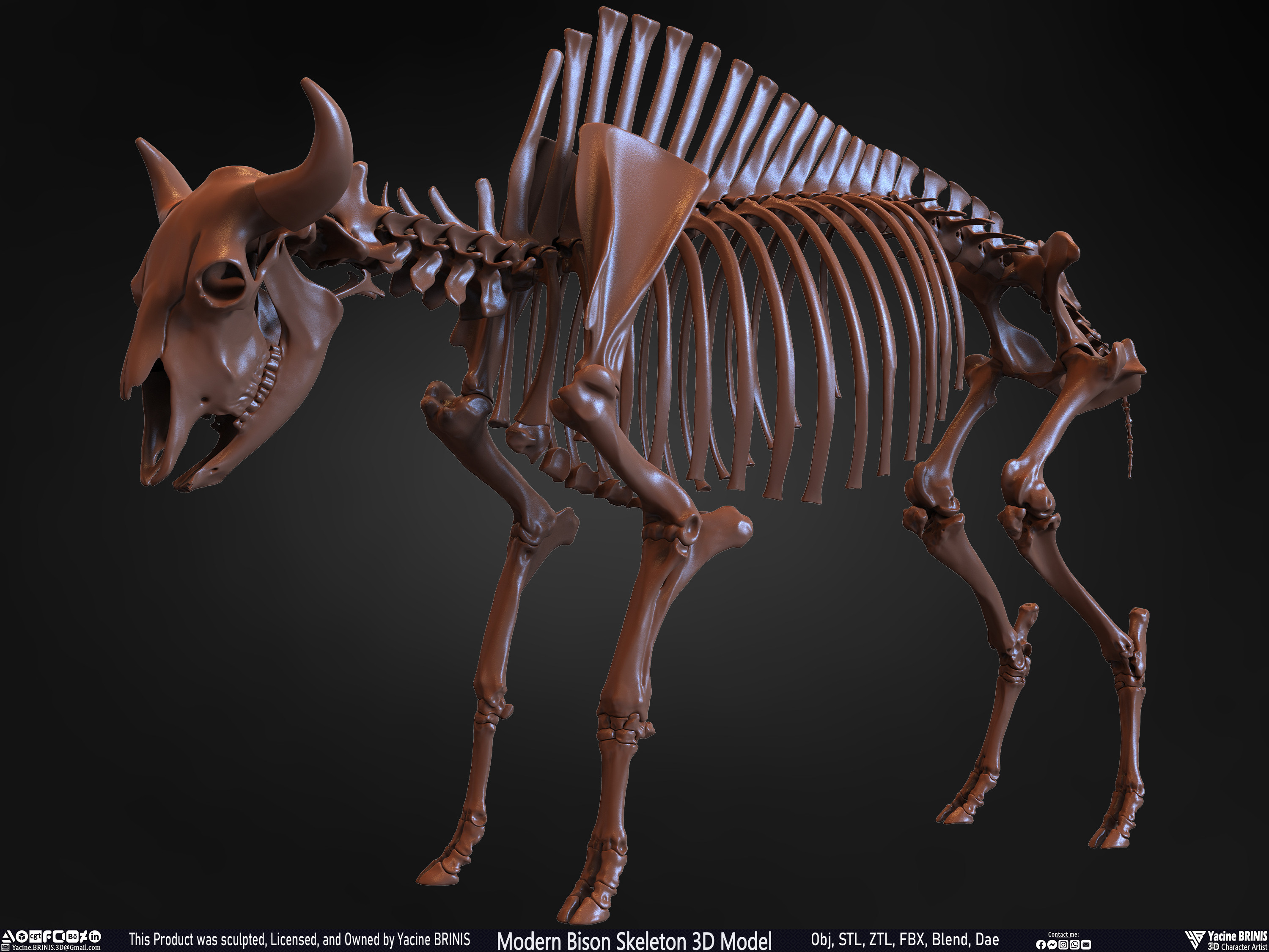 Modern Bison Skeleton 3D Model Sculpted by Yacine BRINIS Set 015