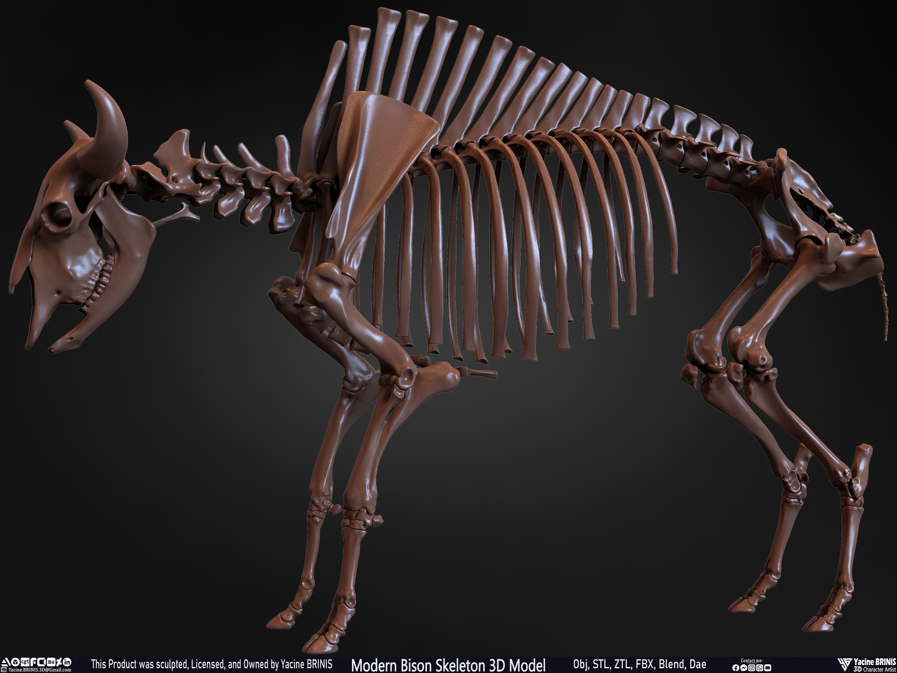 Modern Bison Skeleton 3D Model Sculpted by Yacine BRINIS Set 017