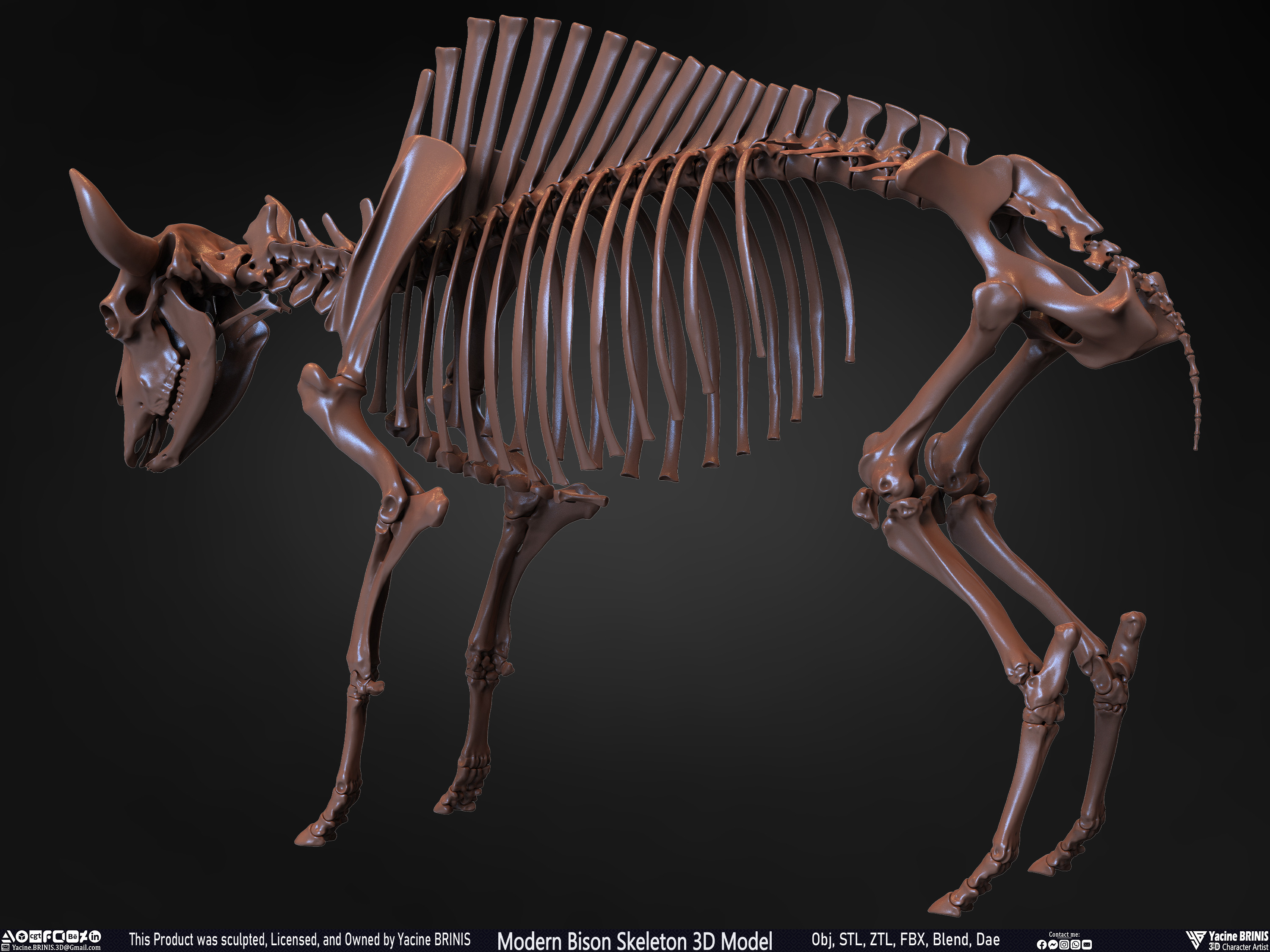 Modern Bison Skeleton 3D Model Sculpted by Yacine BRINIS Set 020