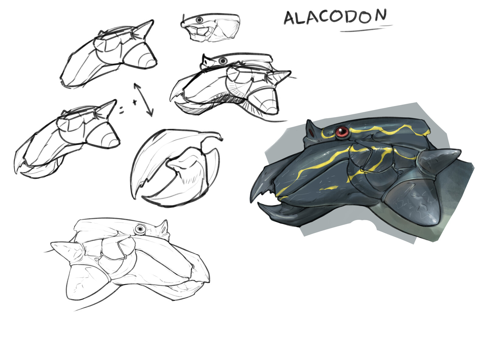 Head Shape Design