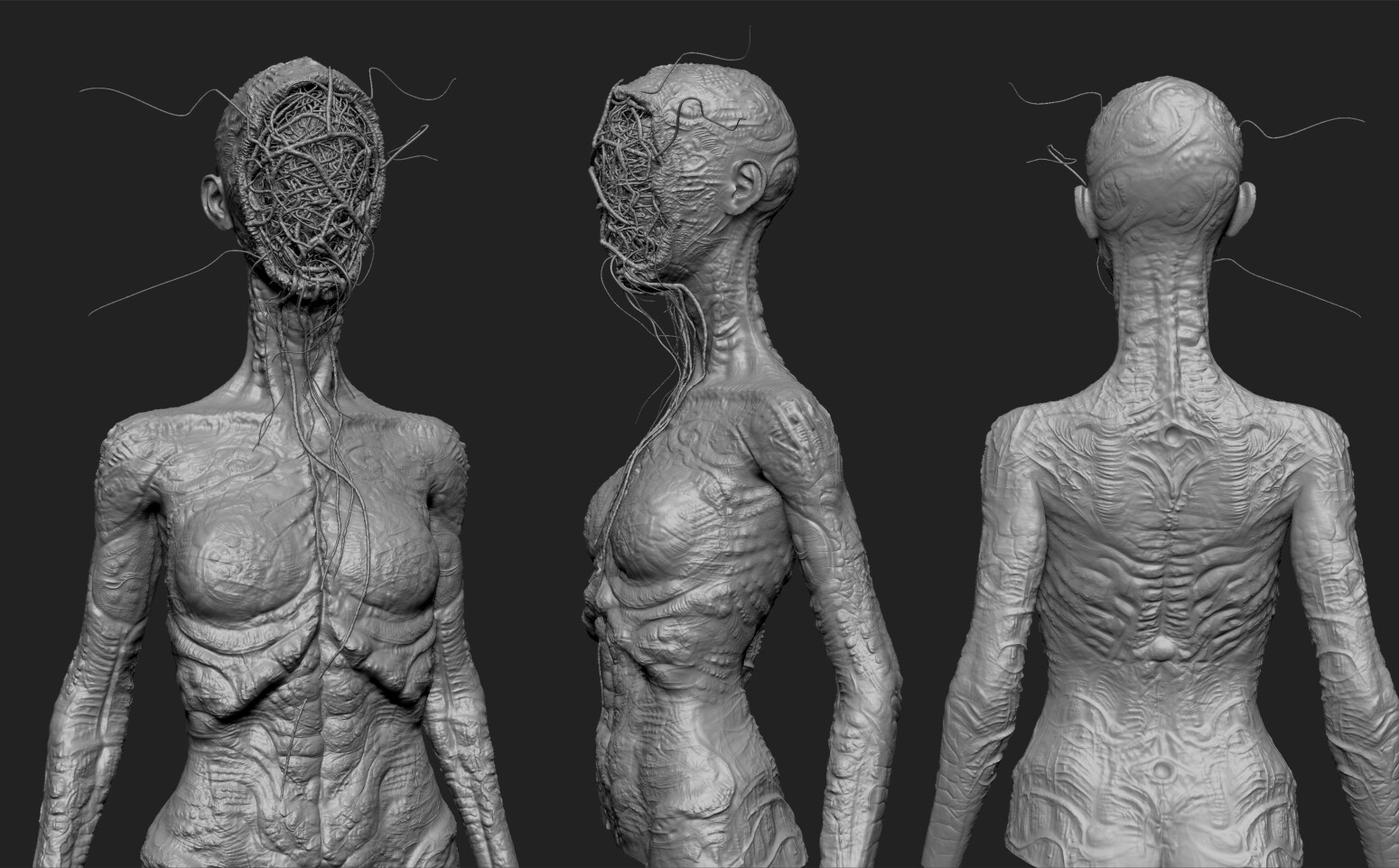 Zbrush Model