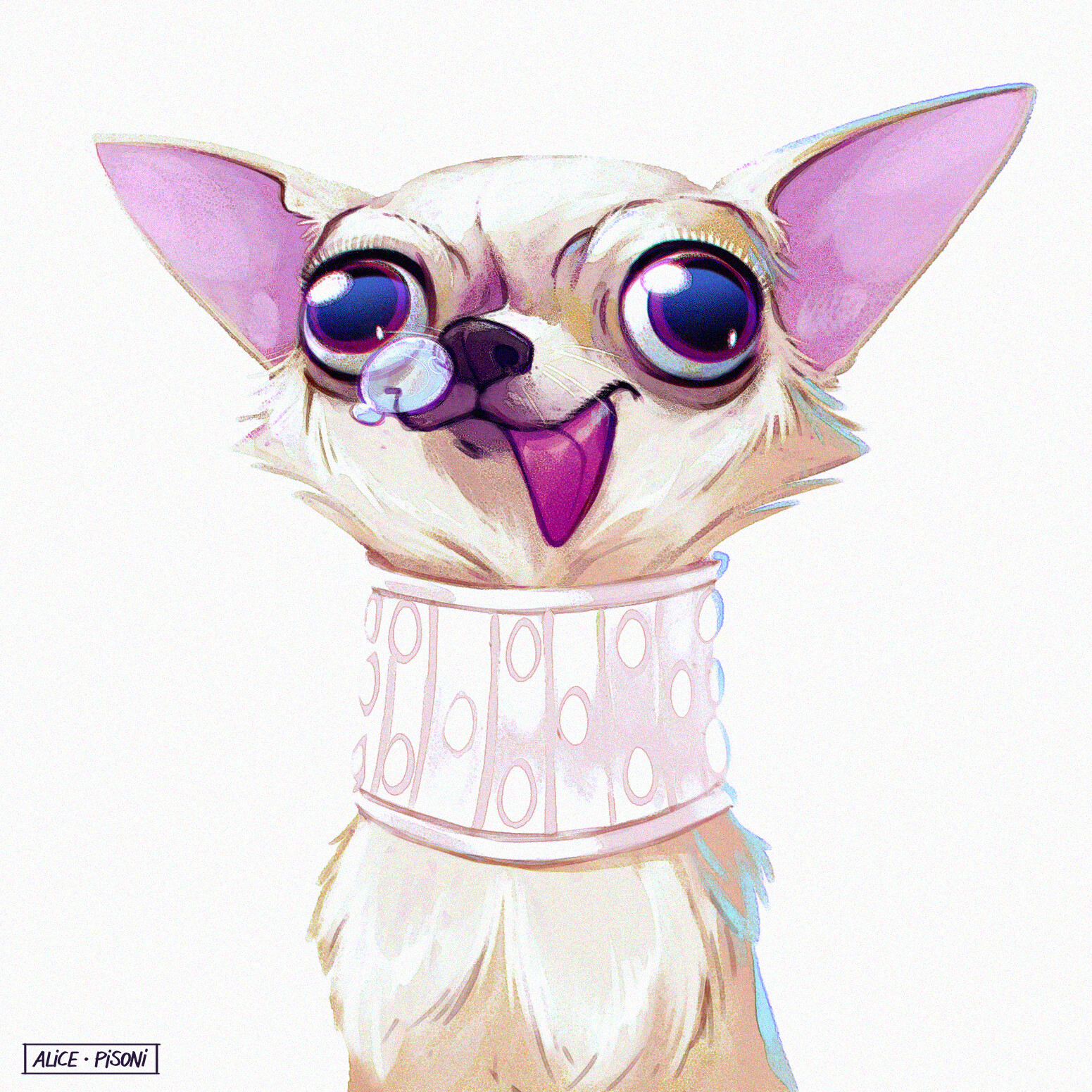 Chihuahua